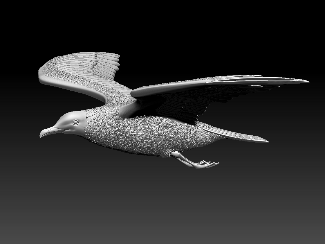 seagull — miniatura 5