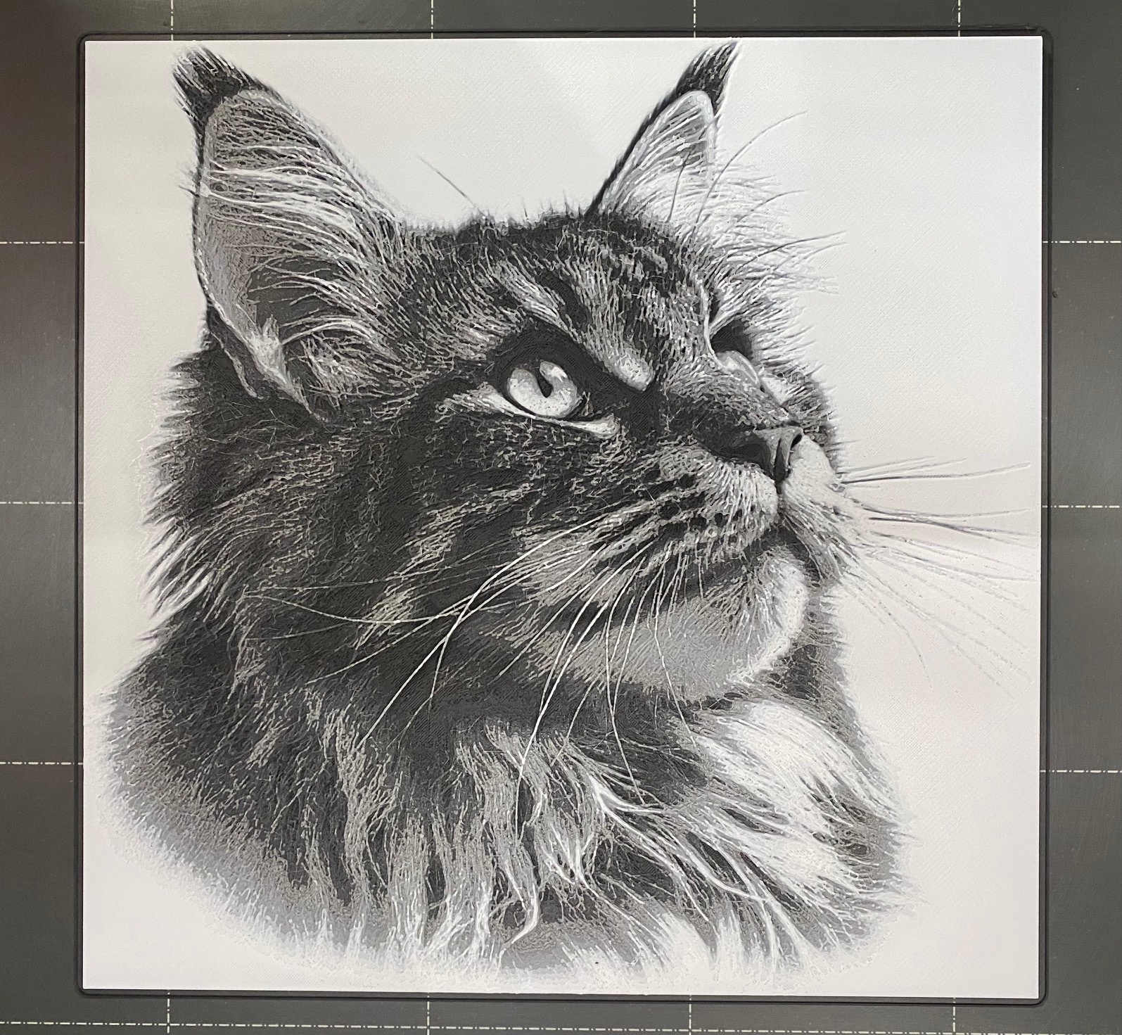 Maine Coon Cat #2 - Hueforge