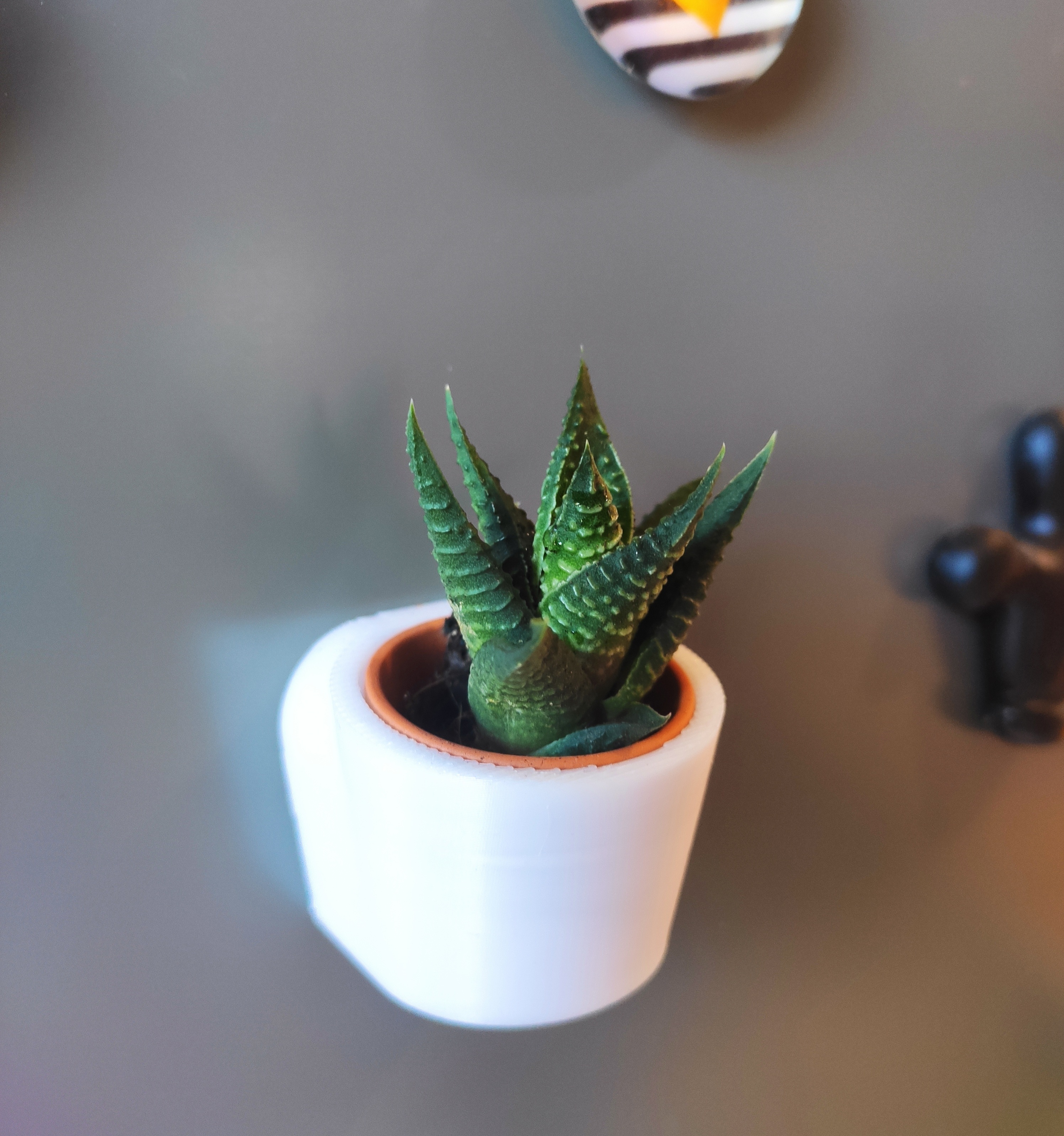 Magnetic mini plant pot