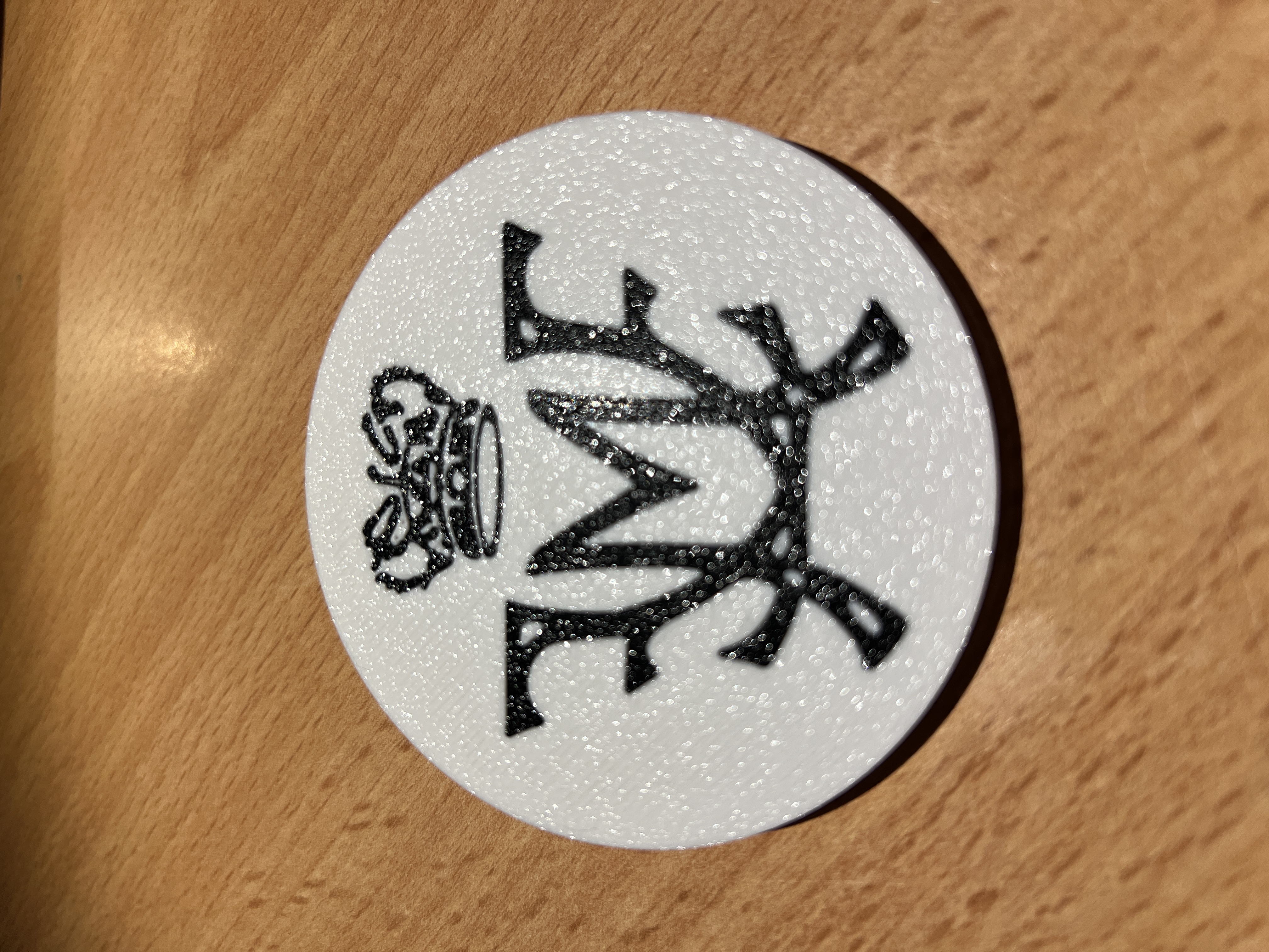Danish Royal Coaster