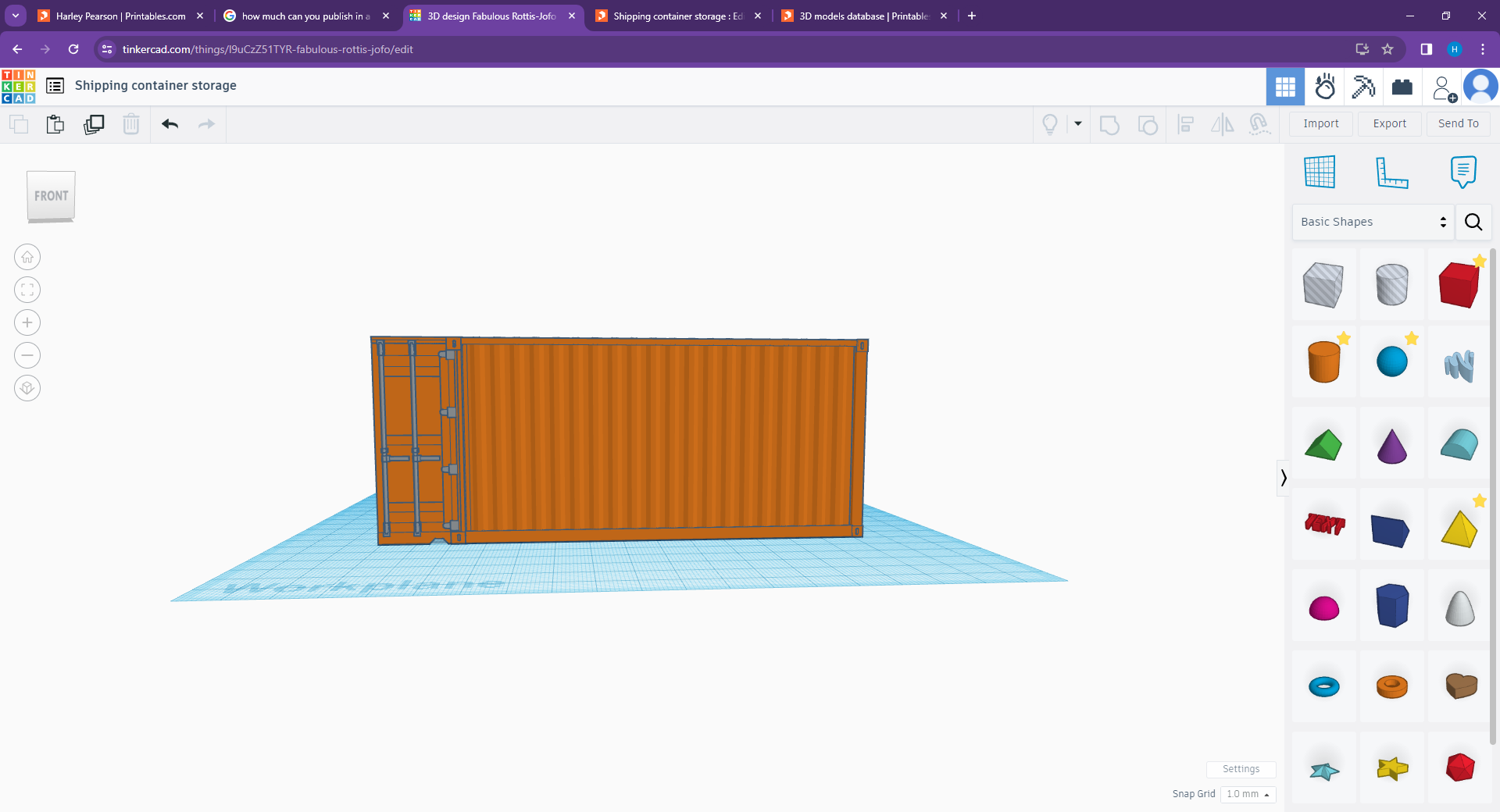 Shipping container storage