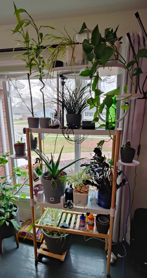 blumendeko kleine vasen Deko-Ideen mit Dahlien: Unsere 10 Favoriten Vasen glas