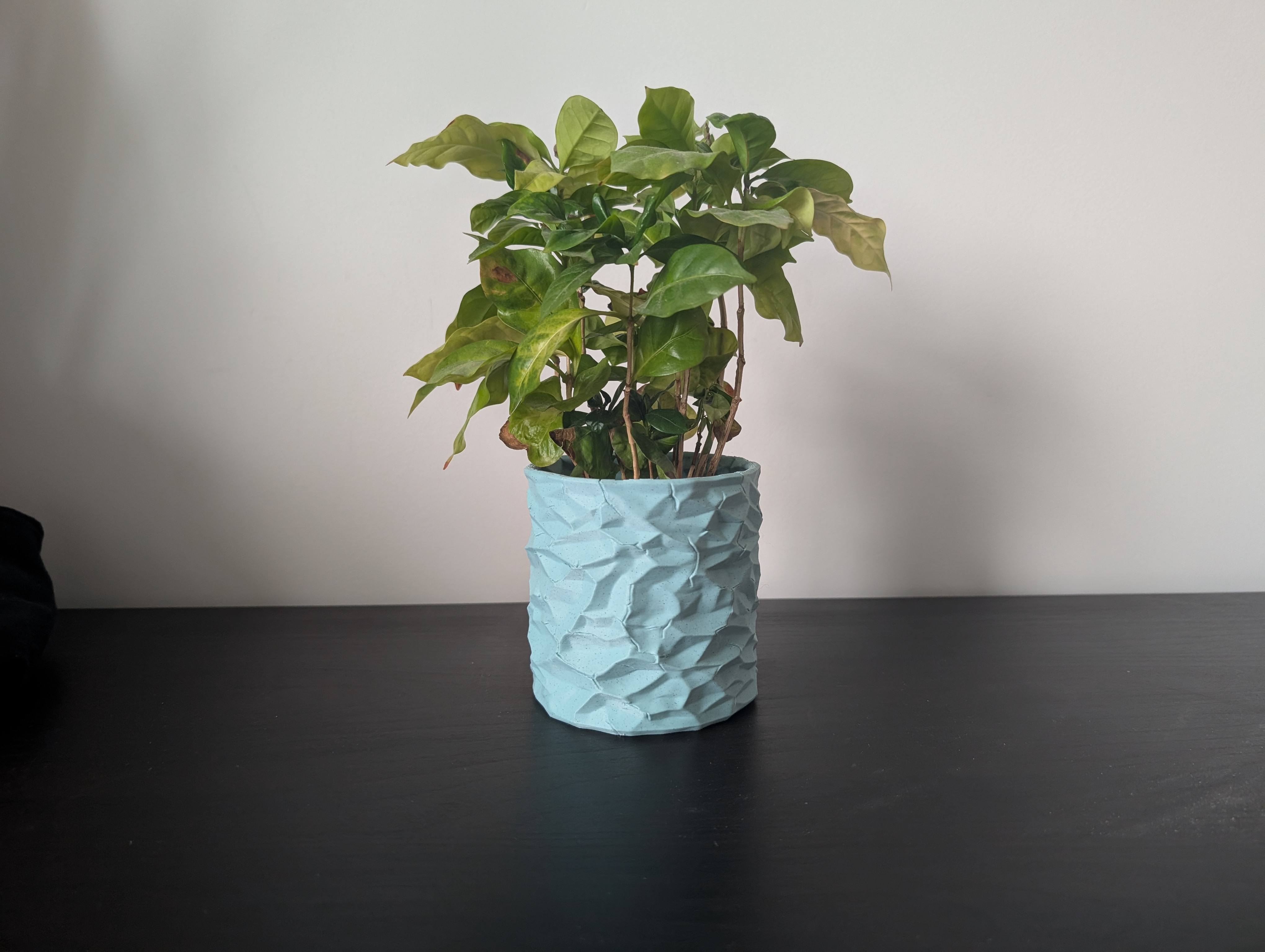 Crumbled Paper Plant Pot