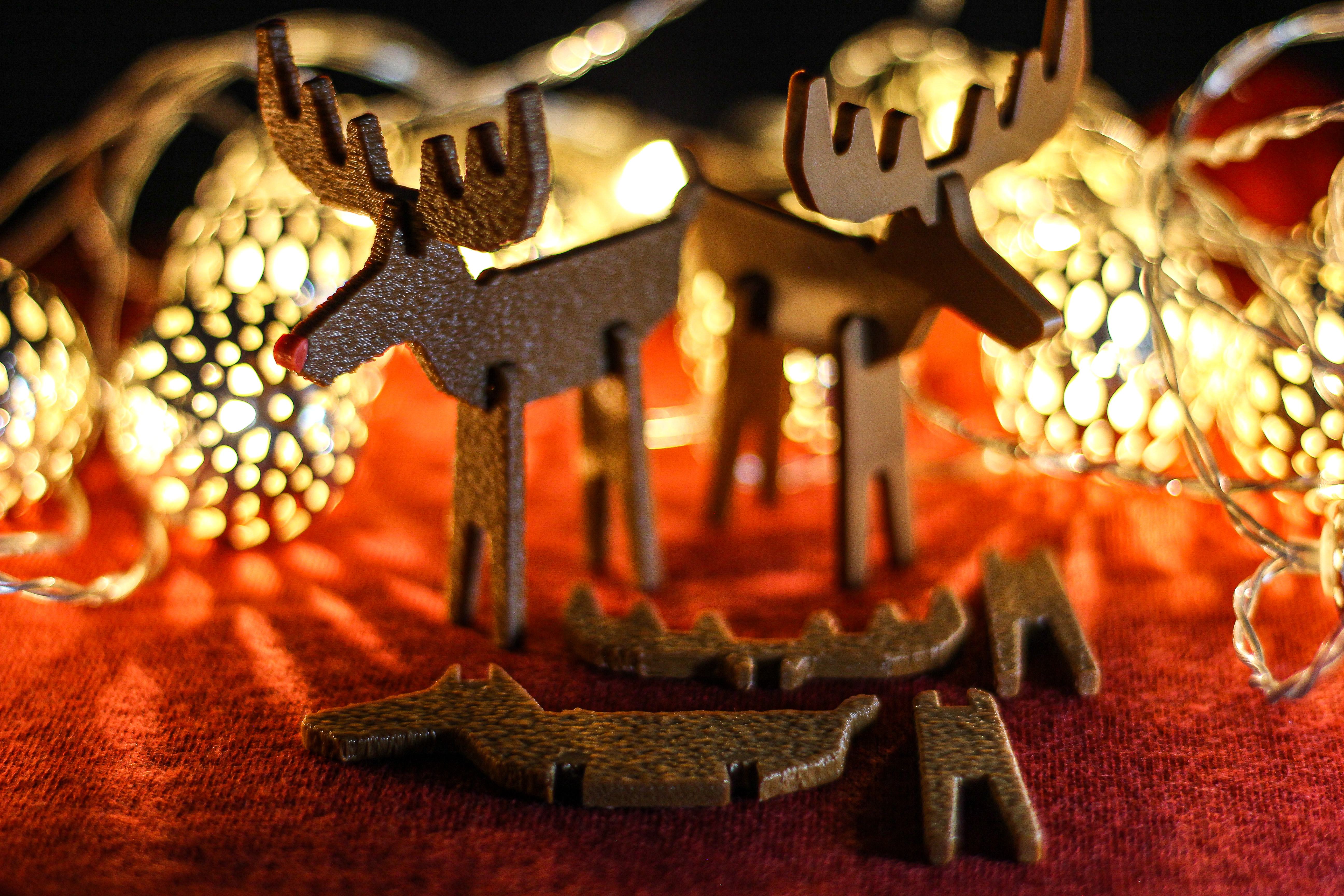 Reindeer & Rudolph — thumbnail 9