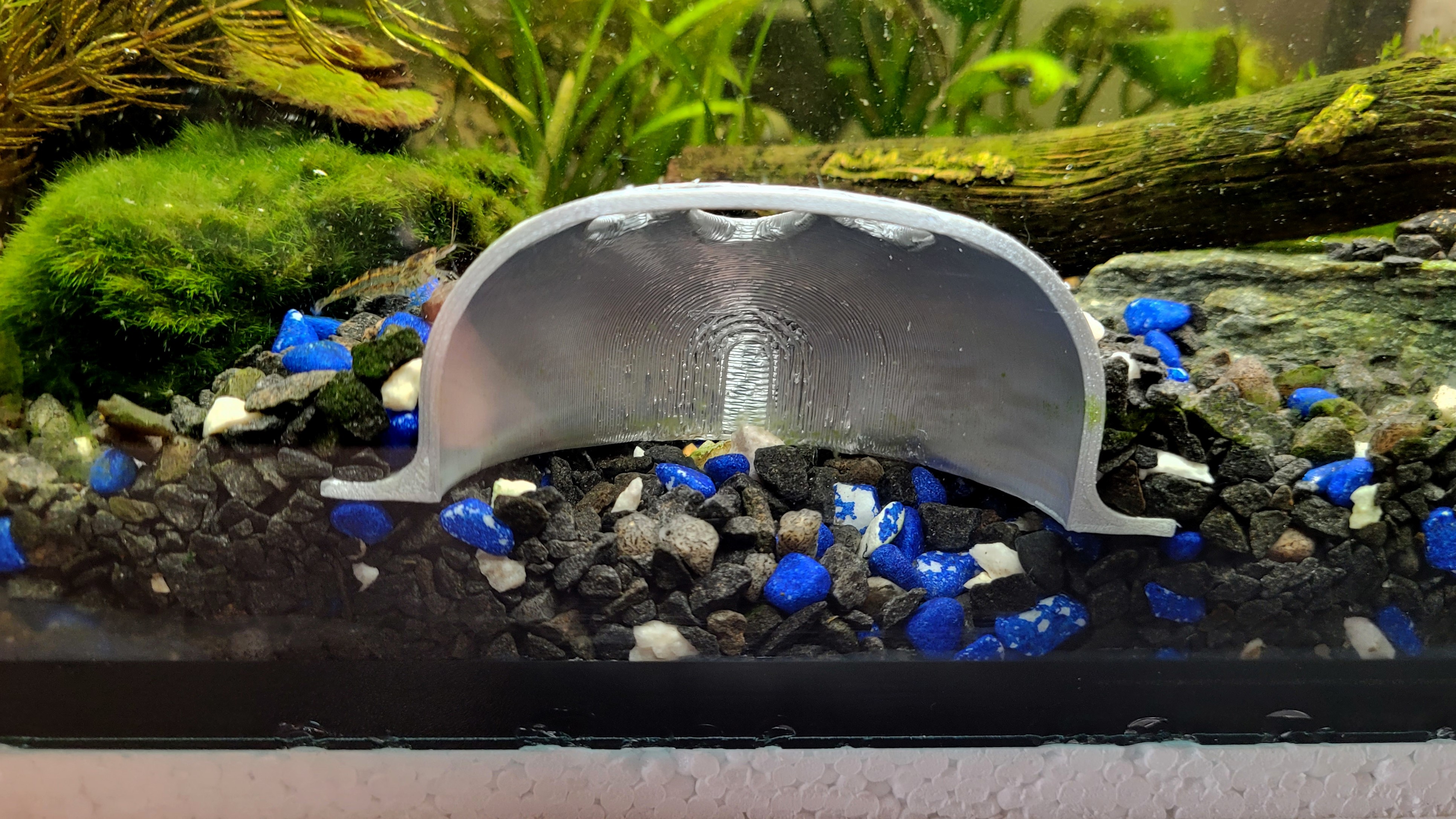 Smoother Shrimp Cave