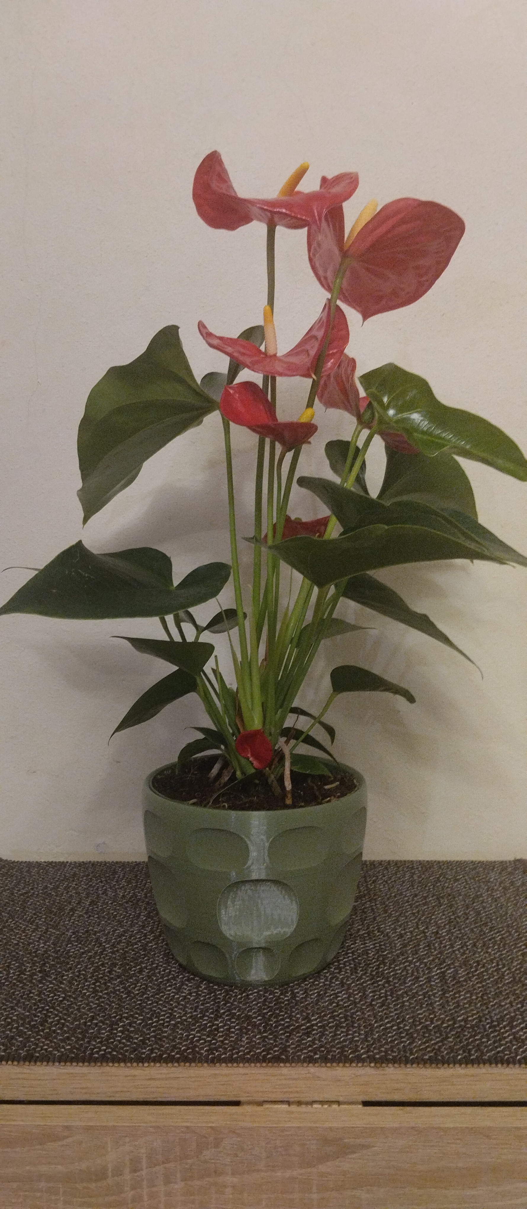 Decorative planter 3D model