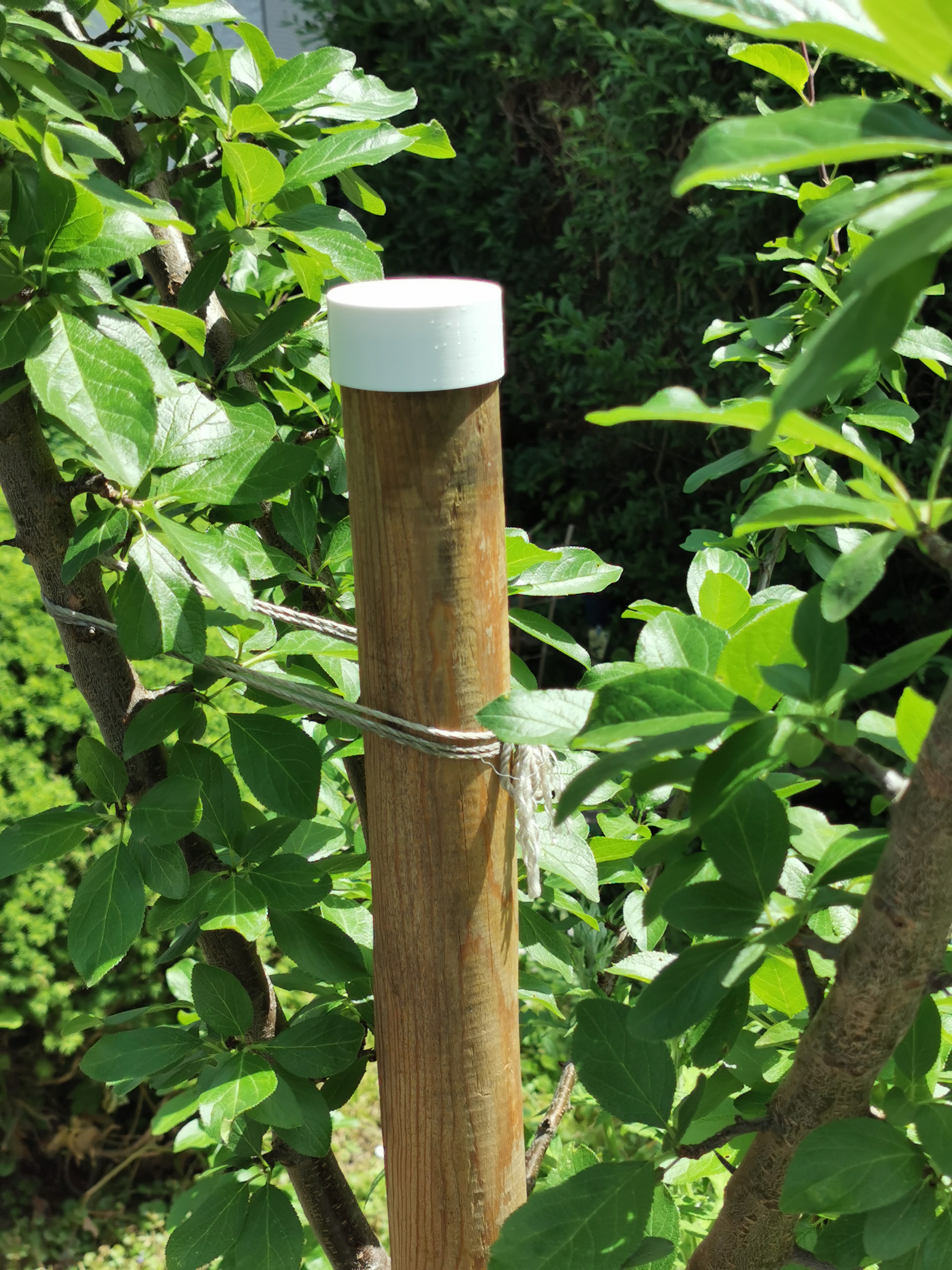Tree Support Cap Ø 57mm – Protective Pole Cap with Clamping Ribs