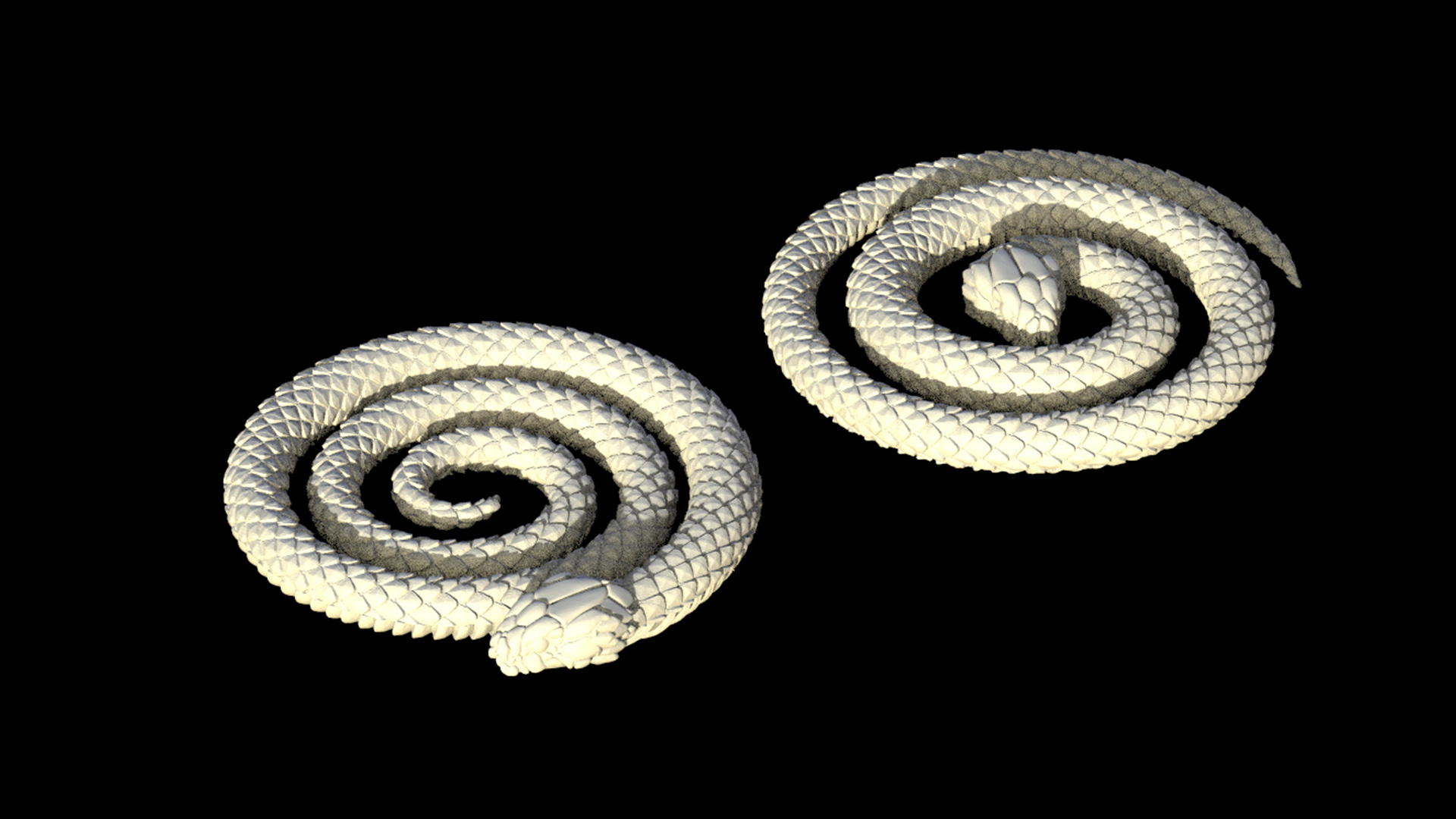 snake — miniatura 6