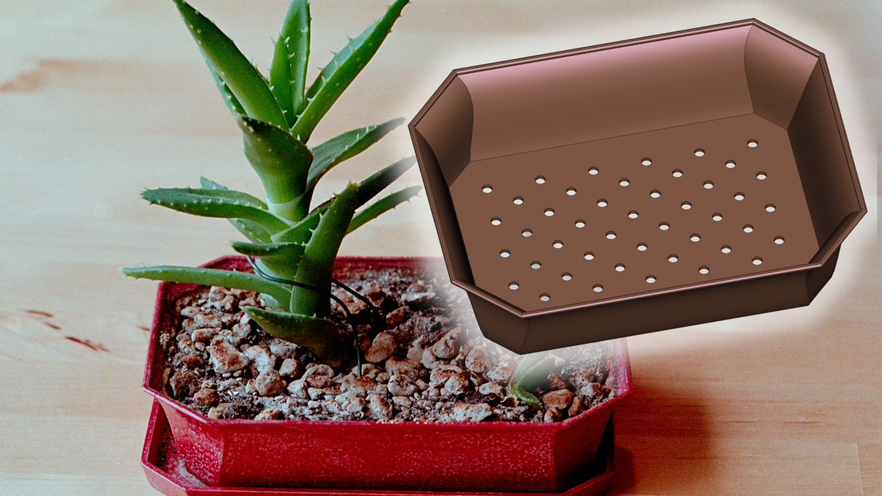 Bonsai Pot
