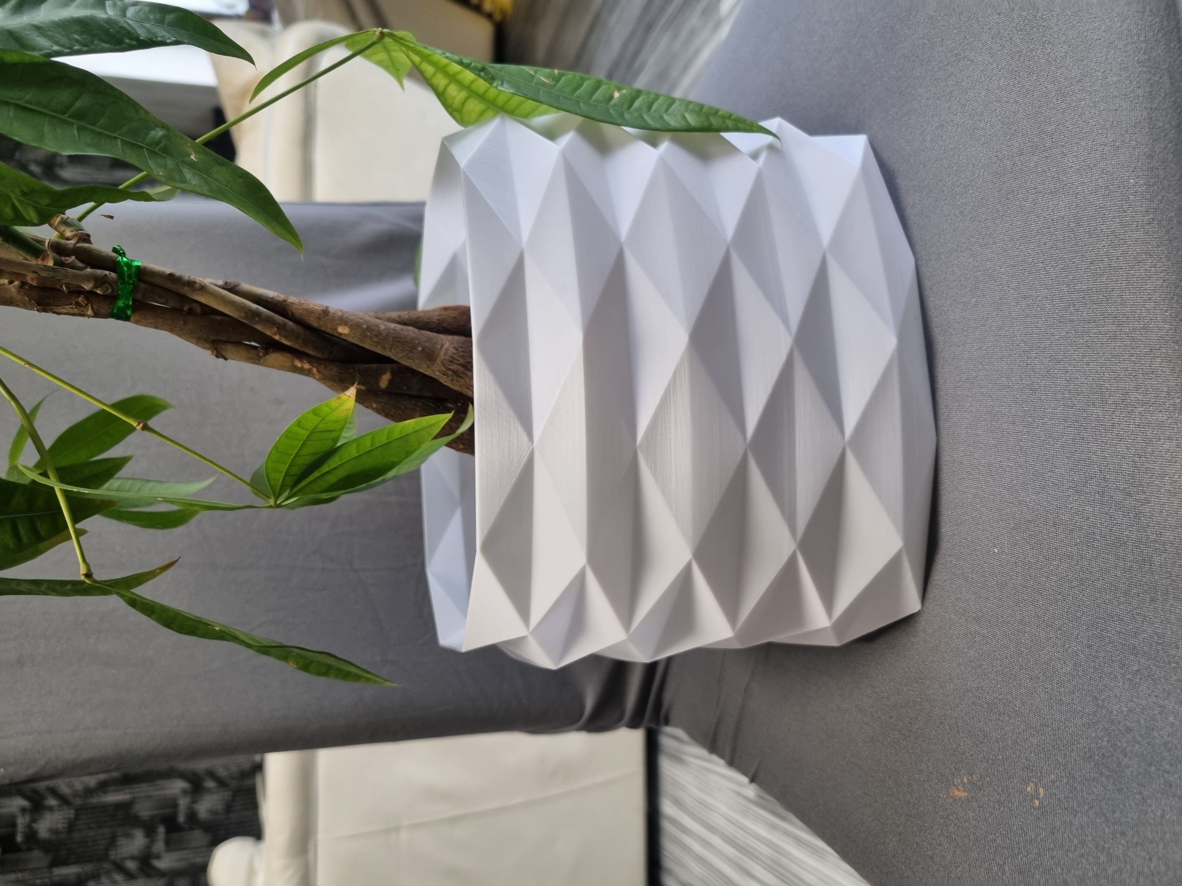 Low Poly Planter Vasenmodus