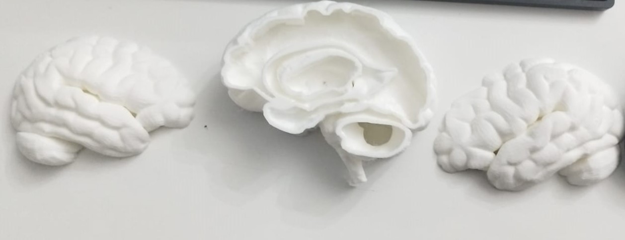 Hollow Brain