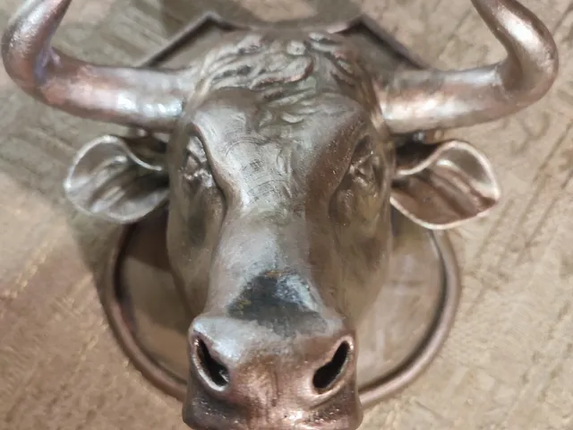 Bull head