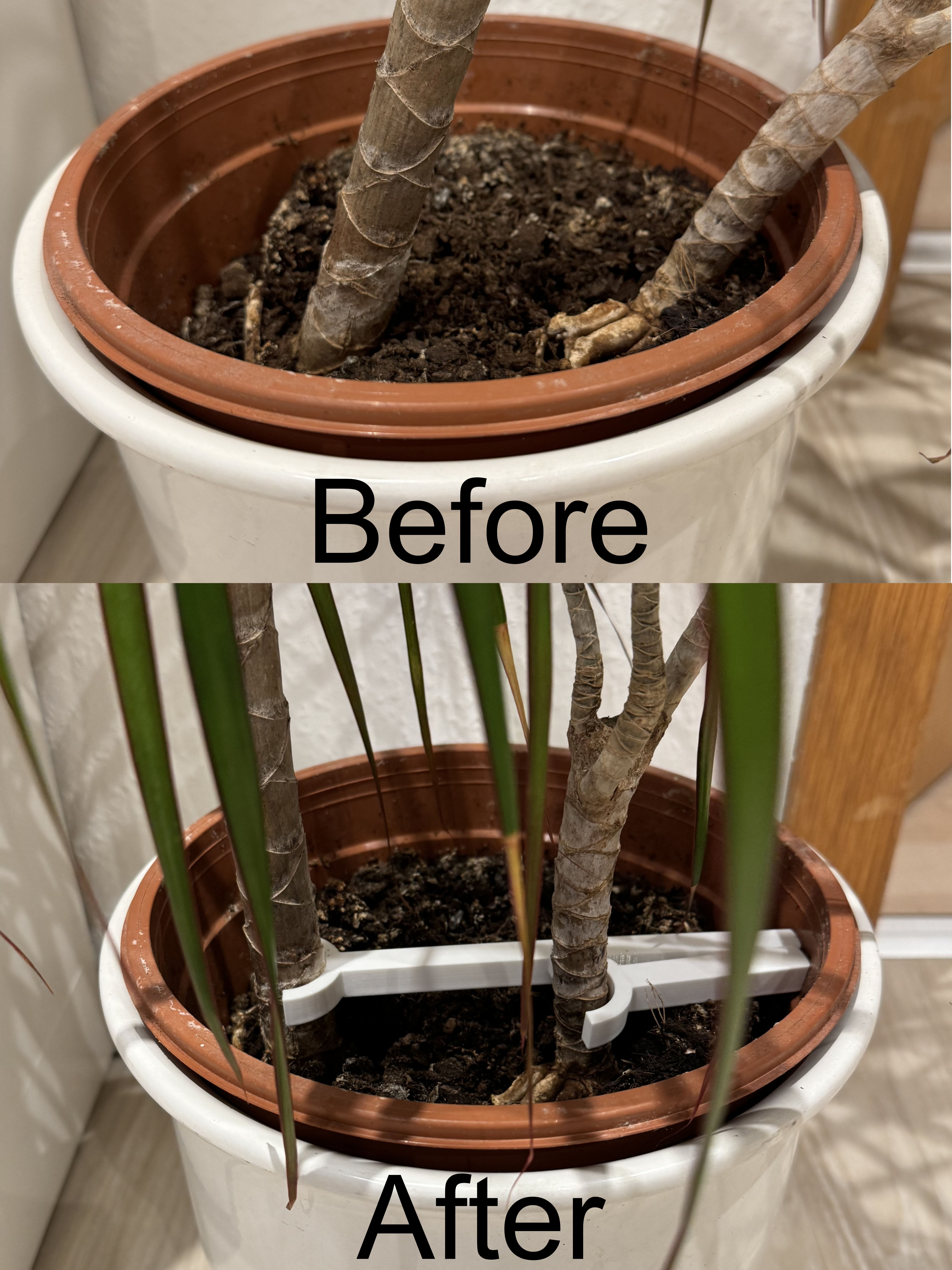 Plant Support/Straightener