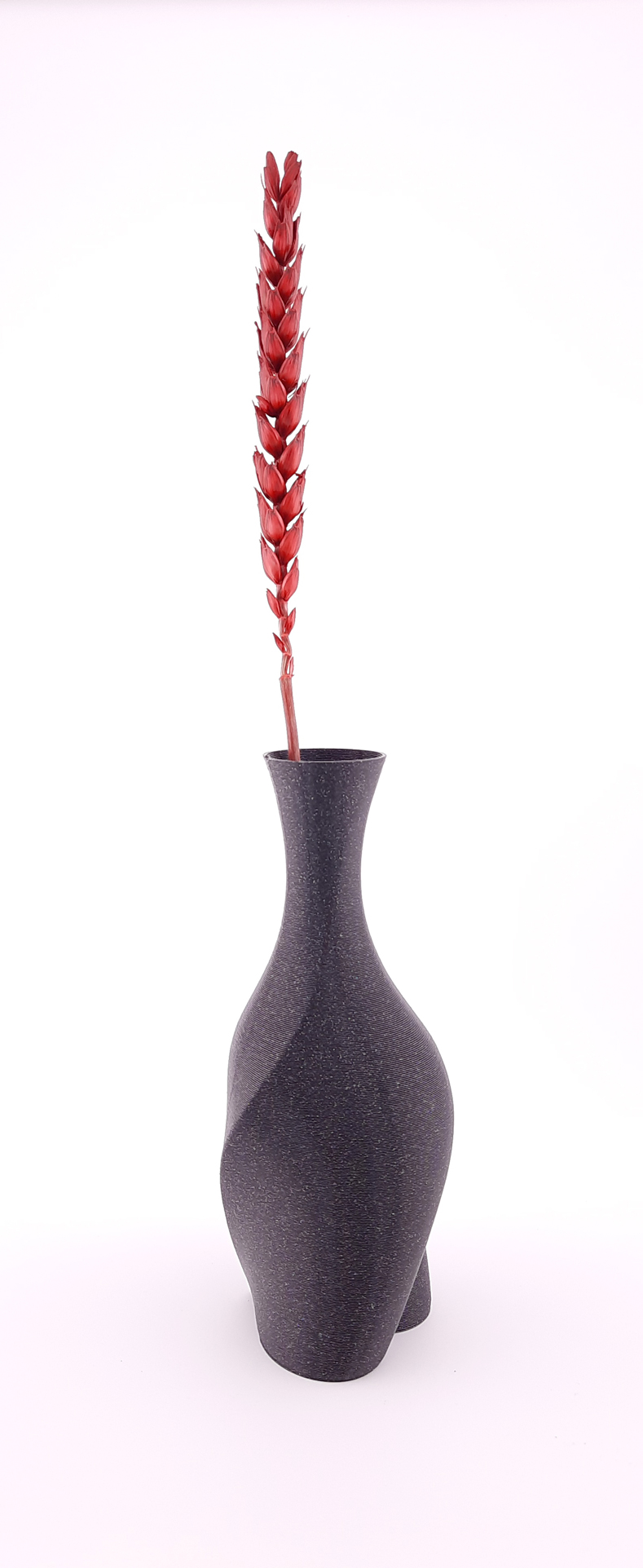 Miniatura 5 do modelo 3D heartvase