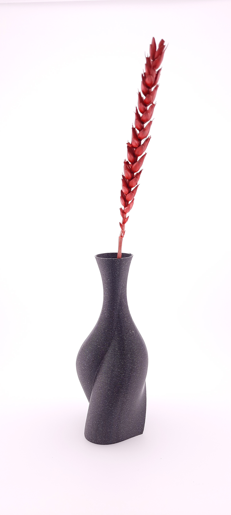 Miniatura 3 do modelo 3D heartvase