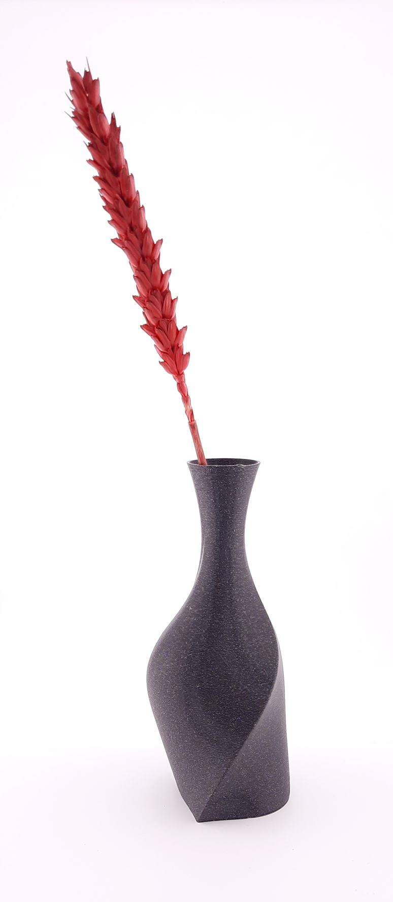 Miniatura 6 do modelo 3D heartvase