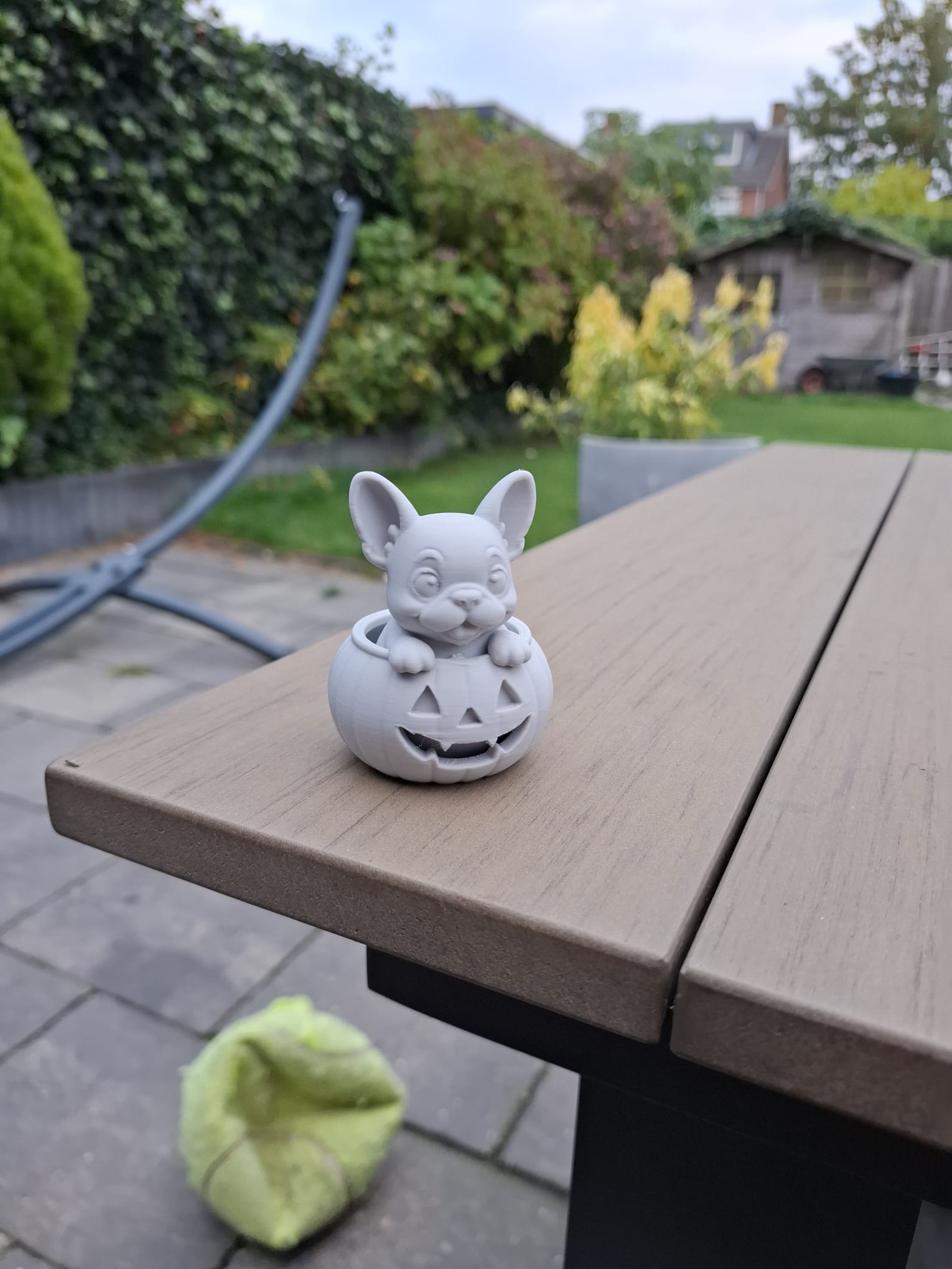 Pumkin French Puppy — miniatura 4