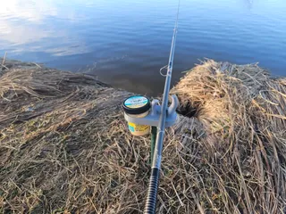 Dough Bait Holder for single fishing hooks by pennyfarmer