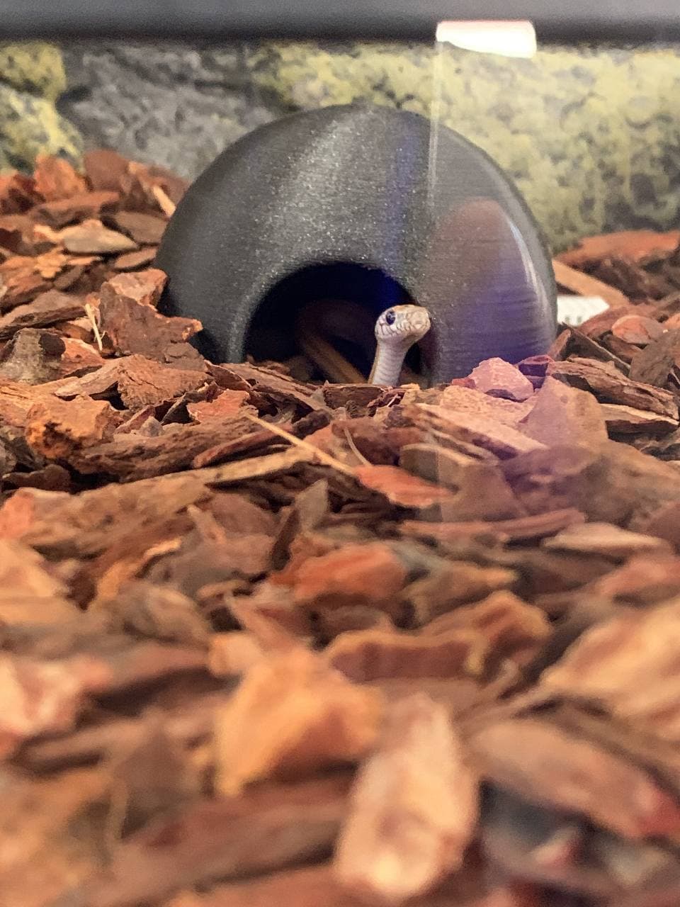Terrarium mini cave