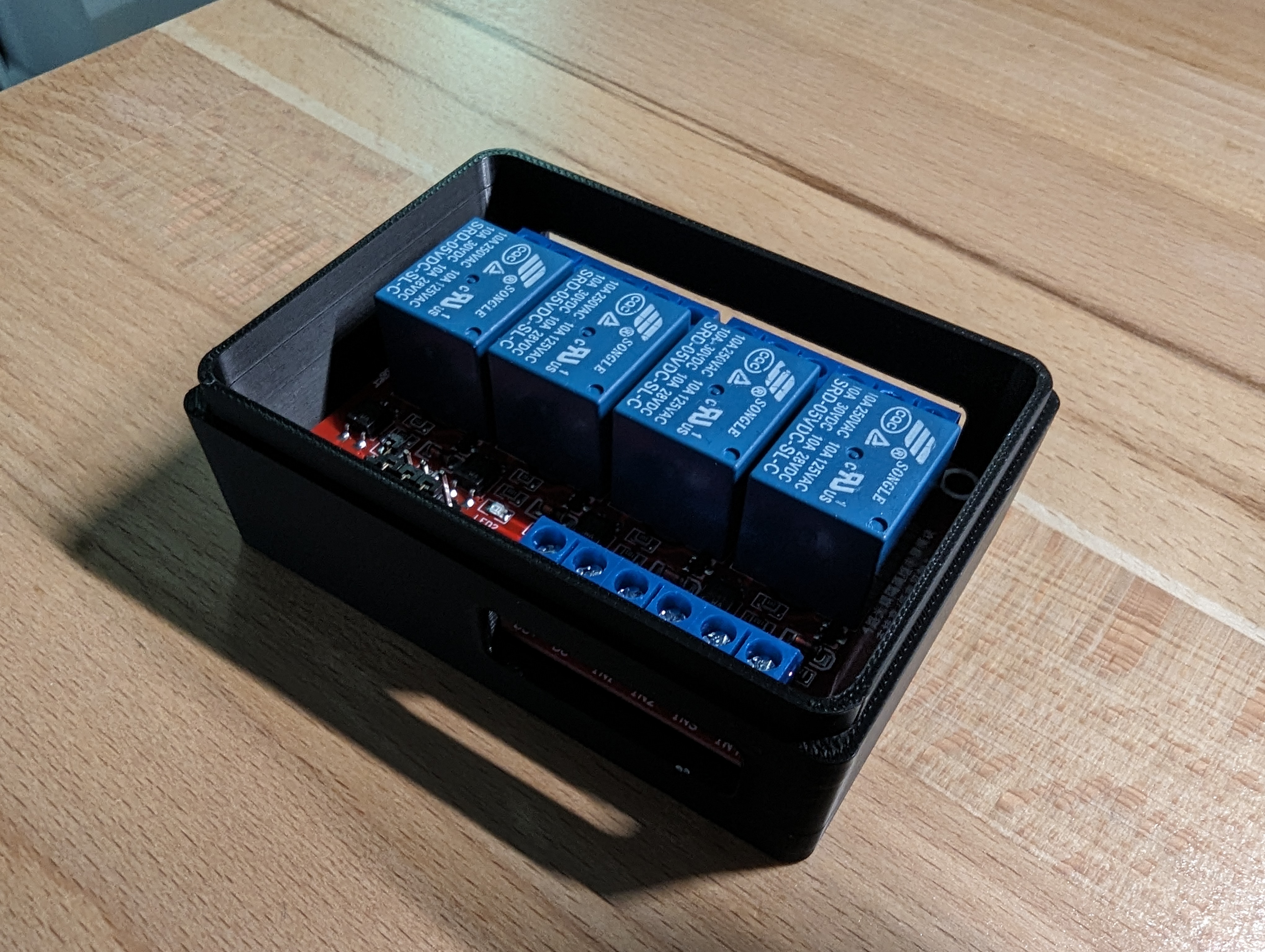 4 Channel Relay Case / Realis Gehäuse