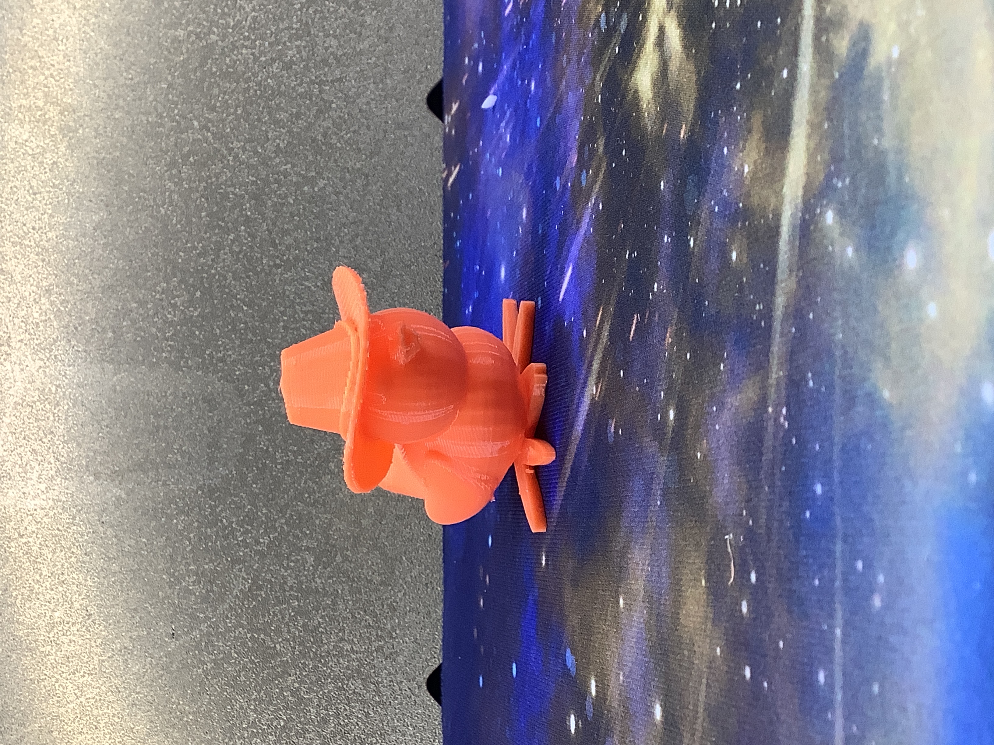 Cowboy Duck
