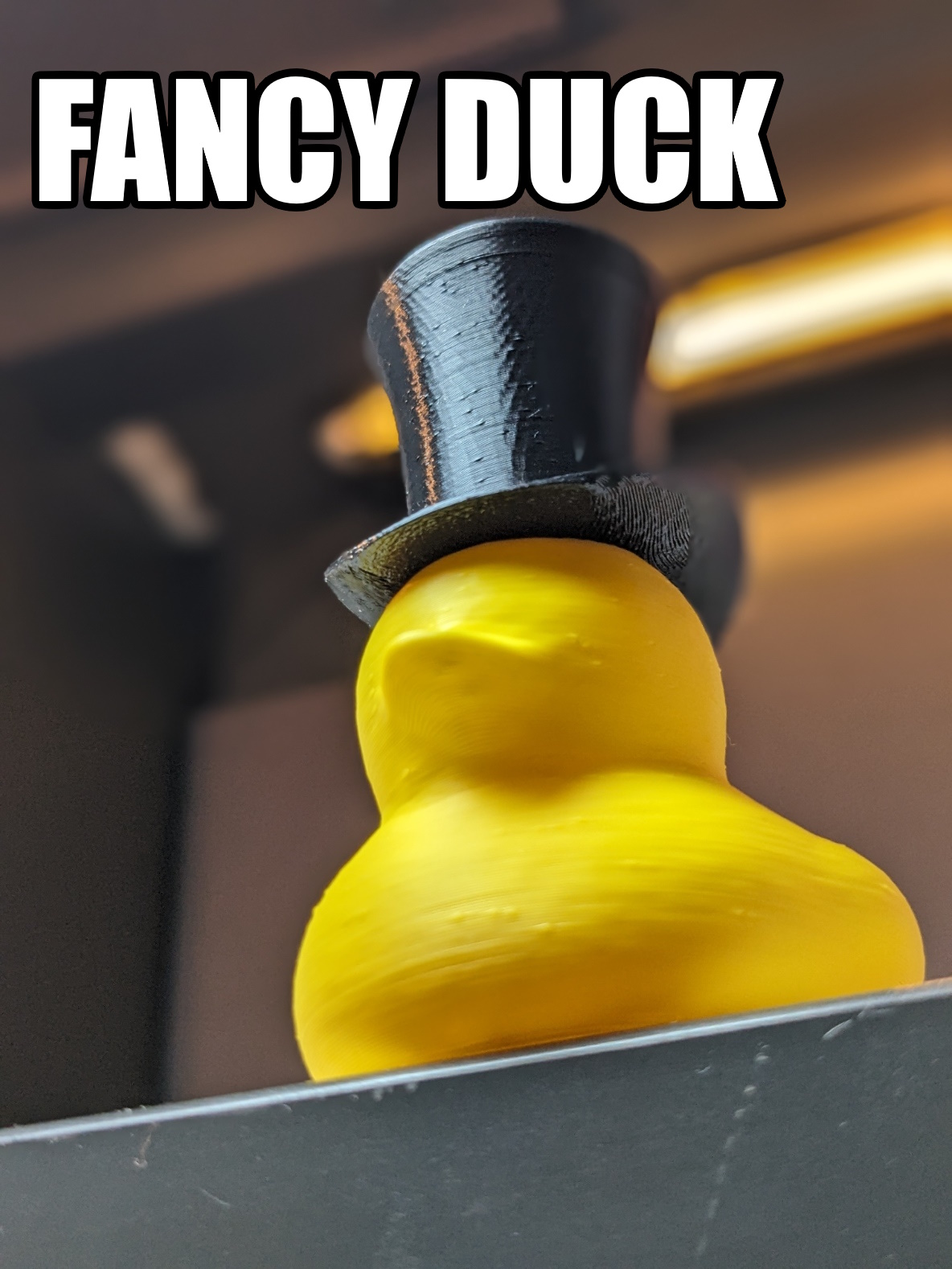 Fancy Bath Time Duck by Bearded Printer | Download free STL model ...