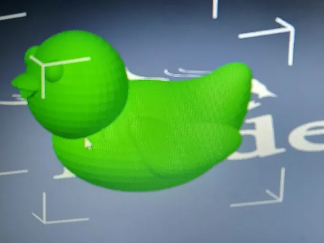 duck