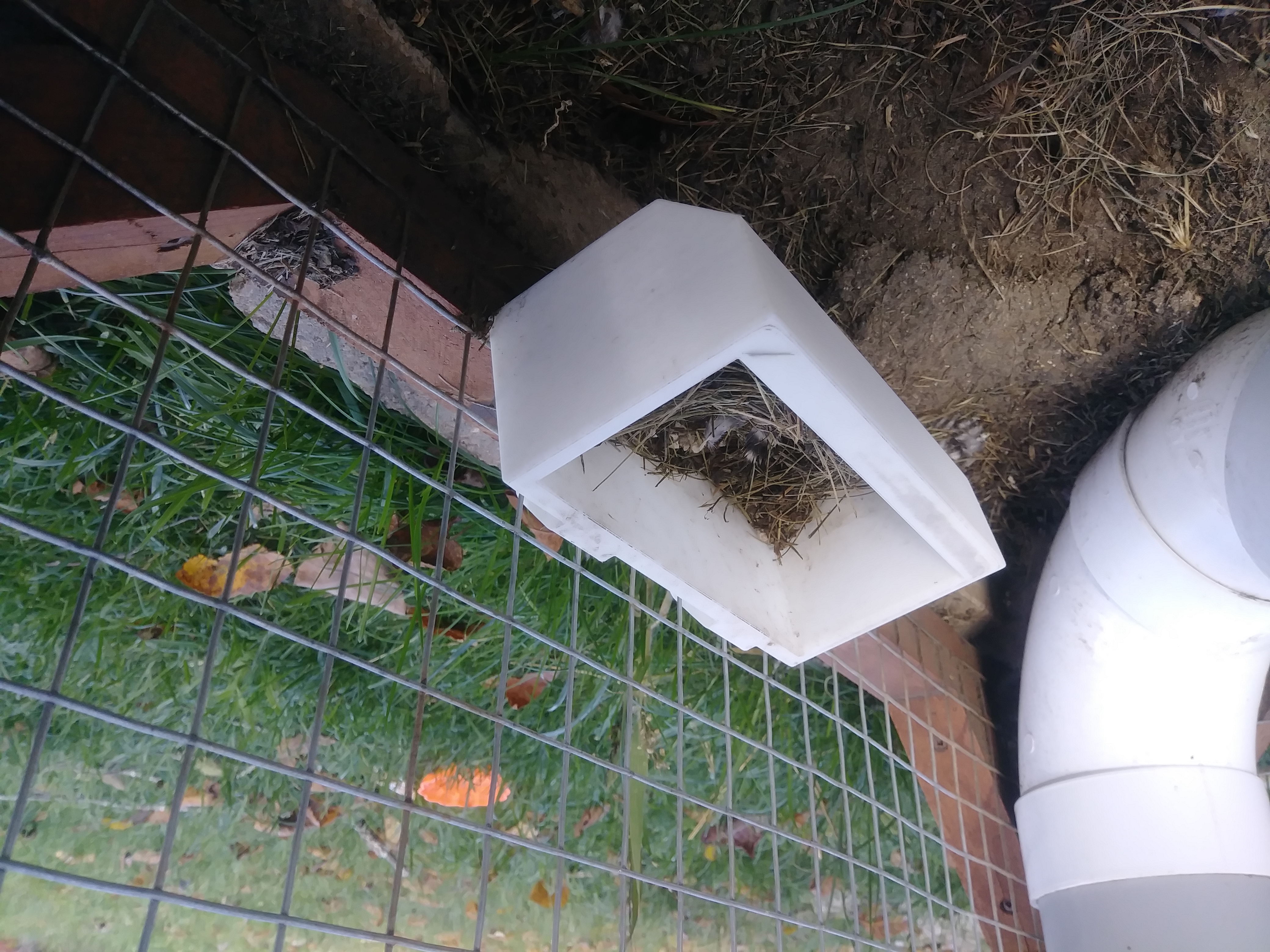 Chicken Coop accessories