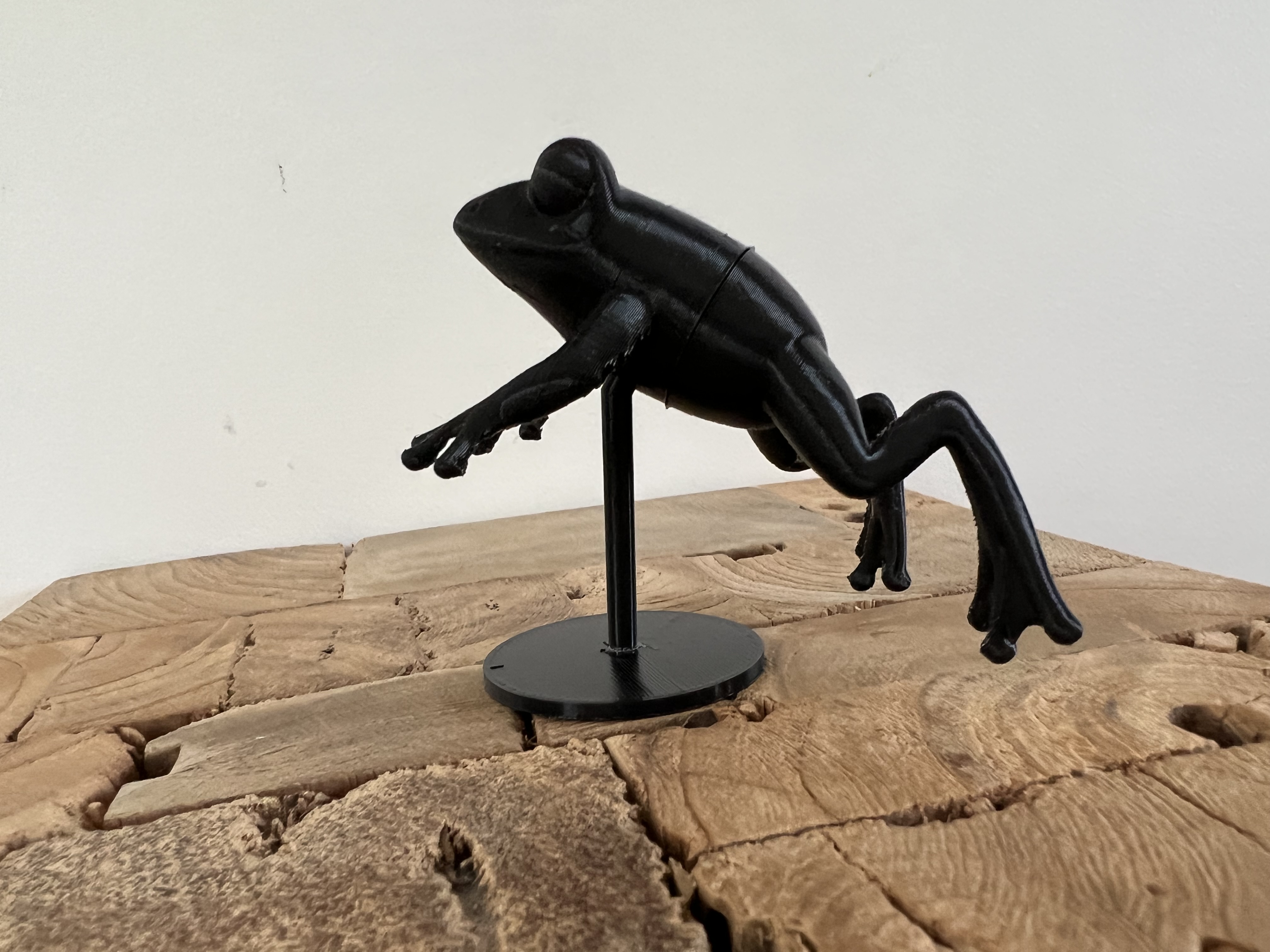Miniatura 2 do modelo 3D Jumping Frog