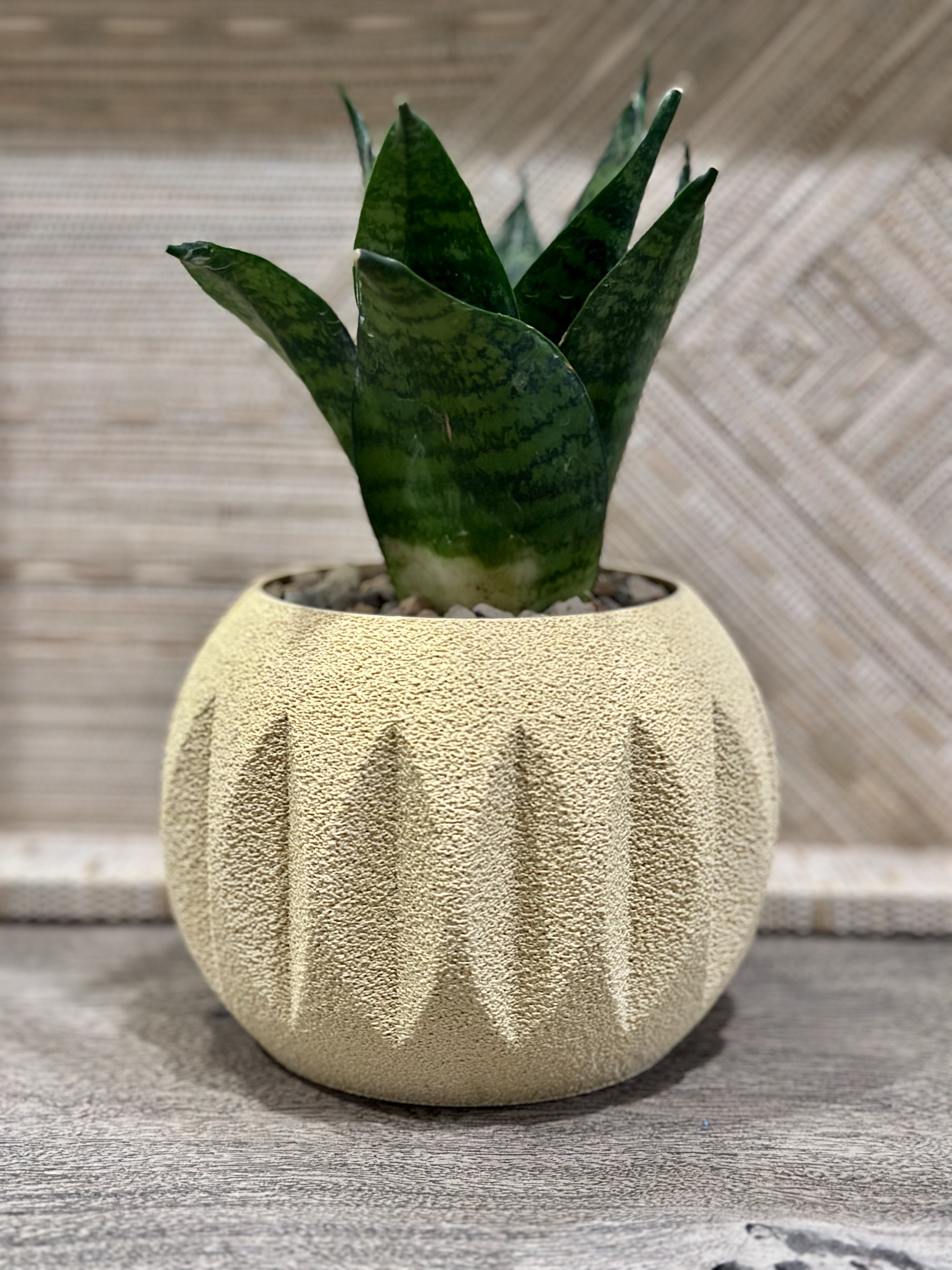 modern sphere planter