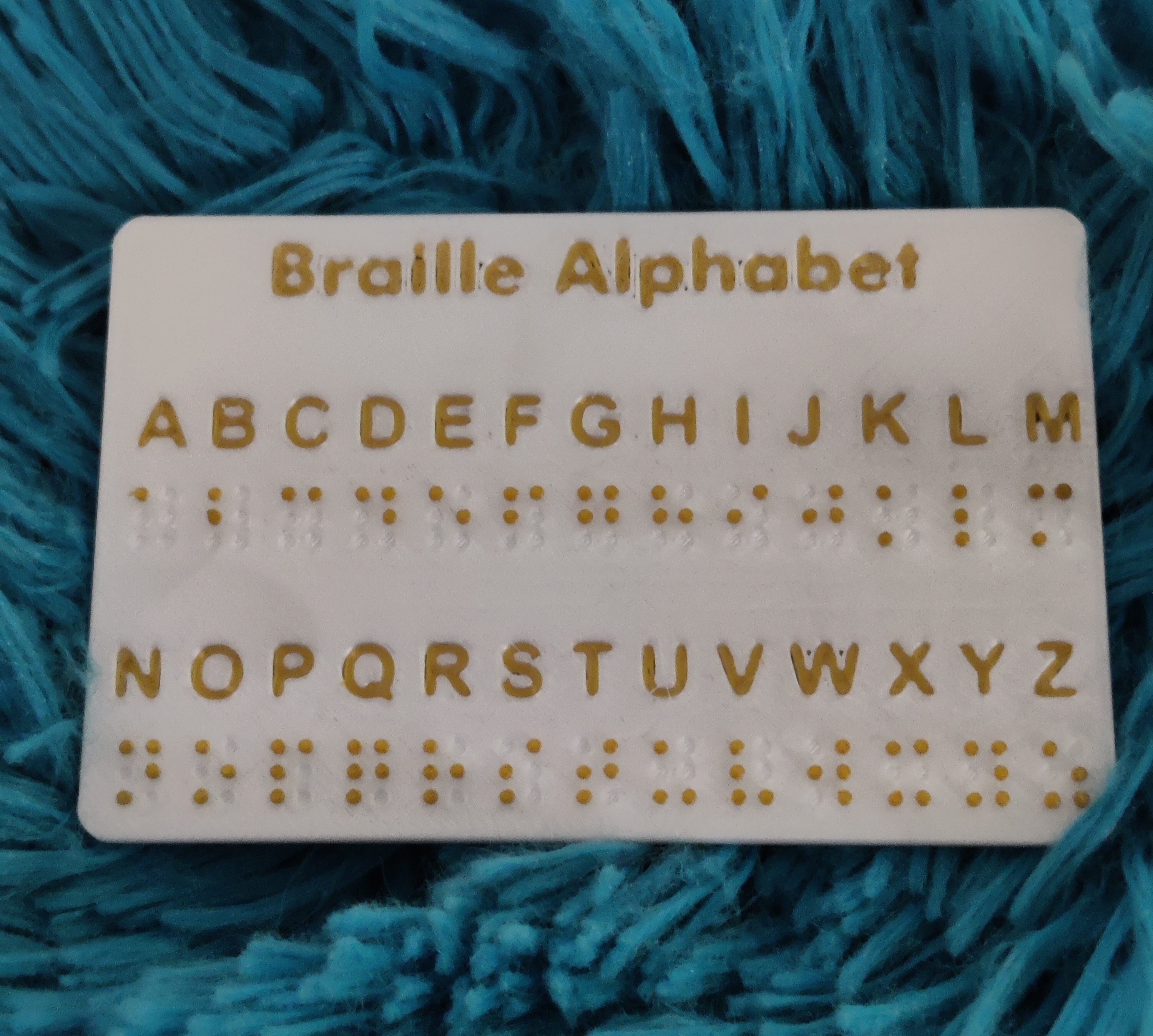Braille Card