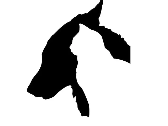 Dog&Cat Silhouette