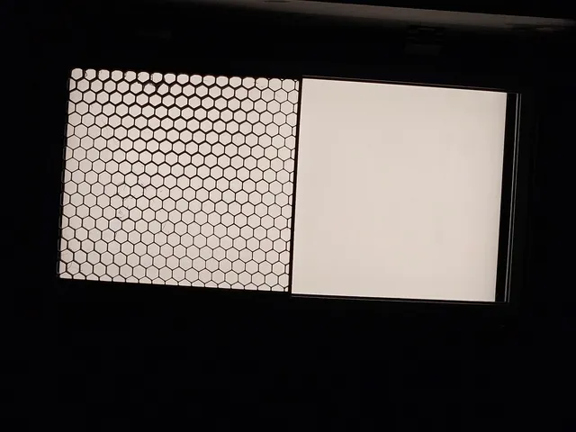 Celeb 201 Half Honey Comb