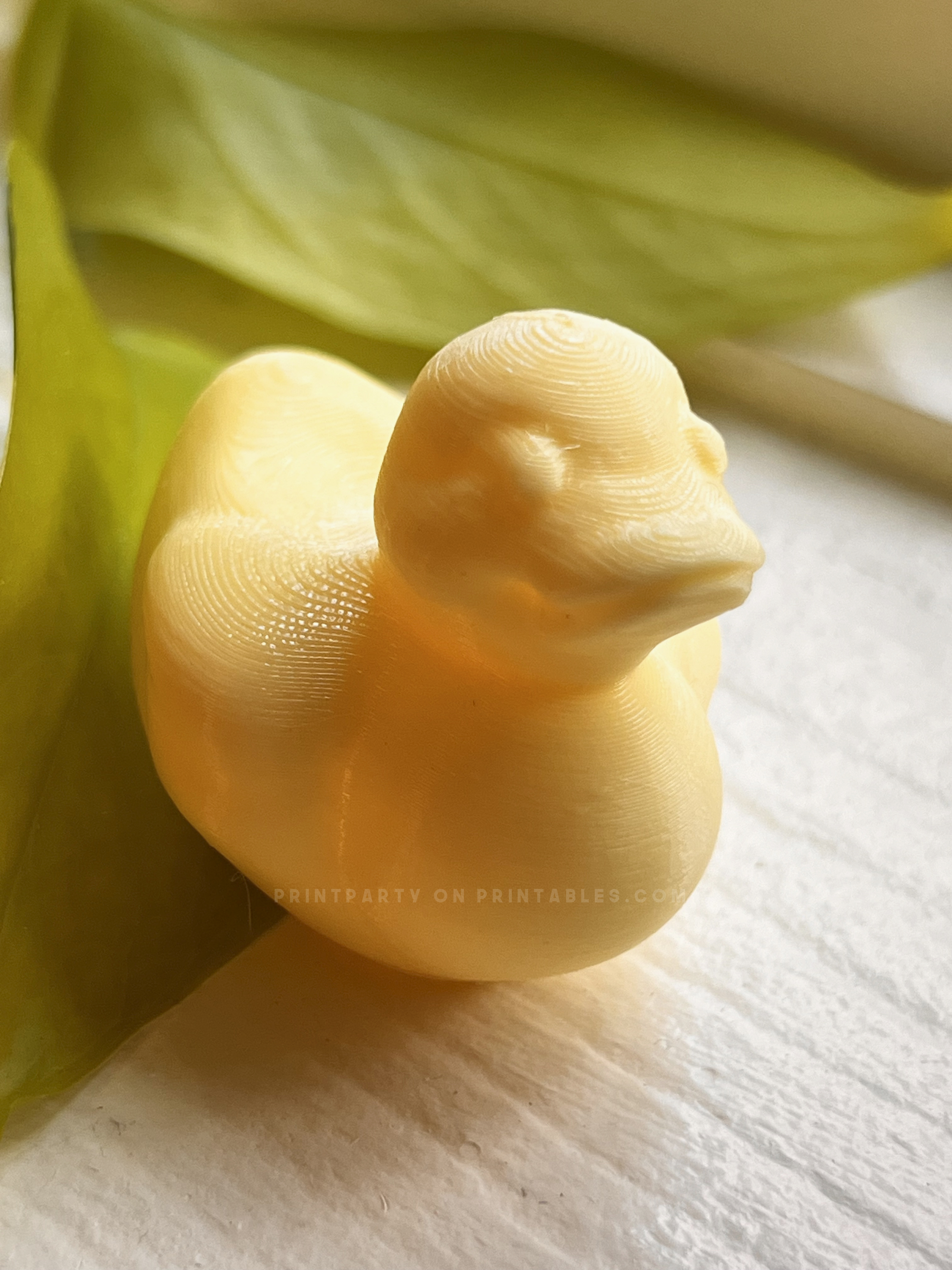 Rubber Duck Toy
