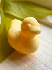 Rubber Duck Toy