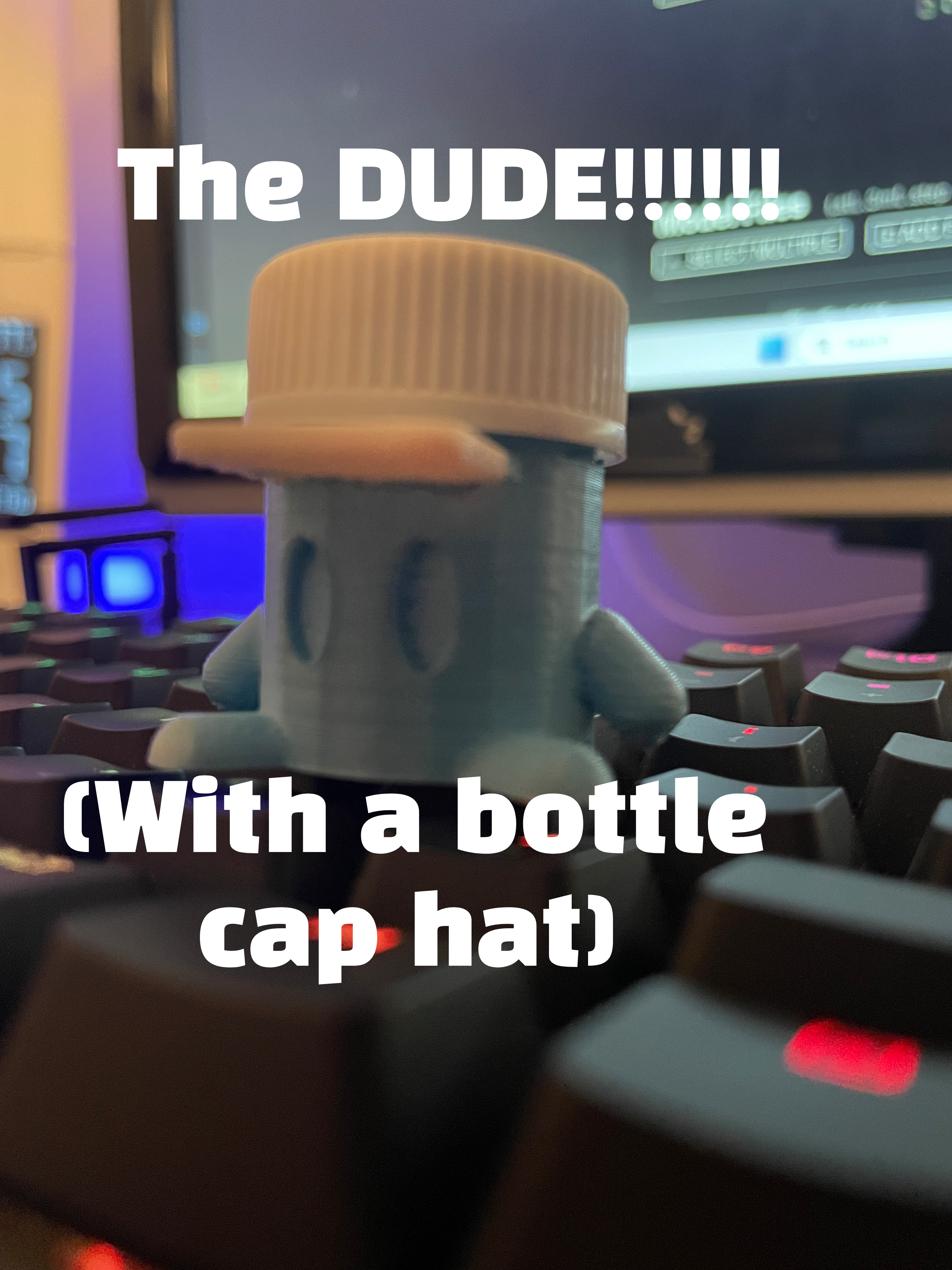 The Dude - Just A Small Dude With A Bottle Cap Hat!