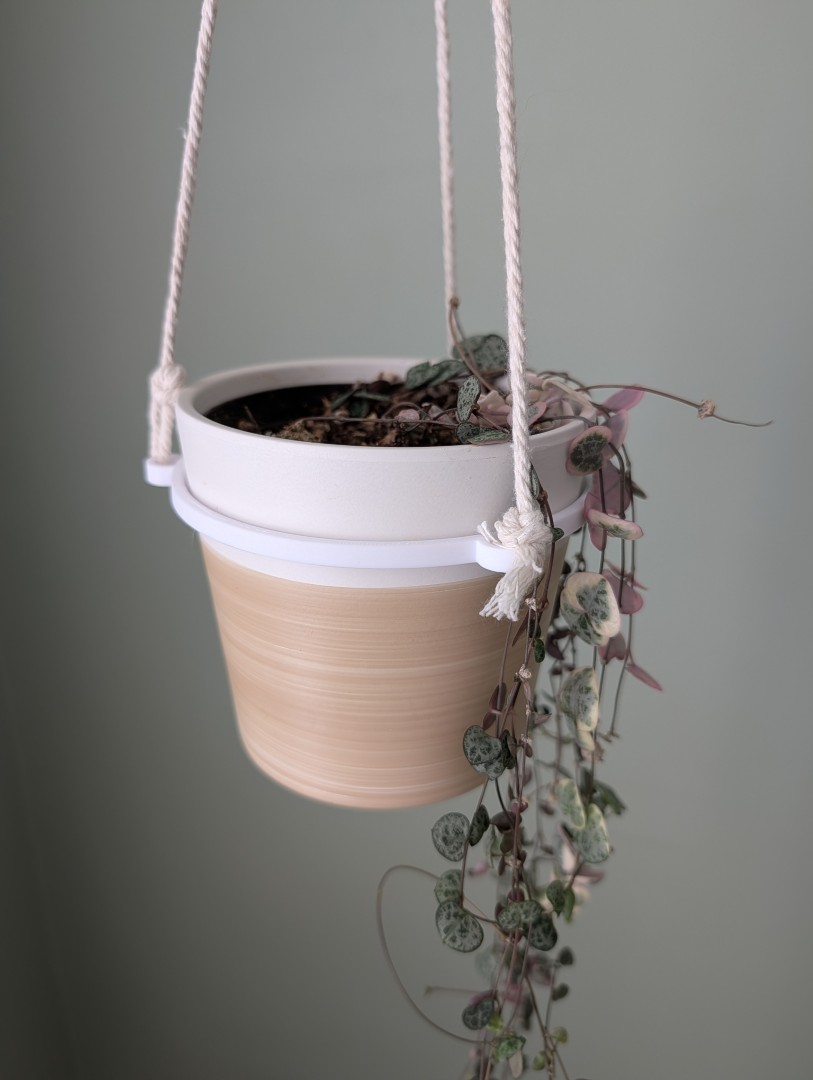 House plant hanging ring