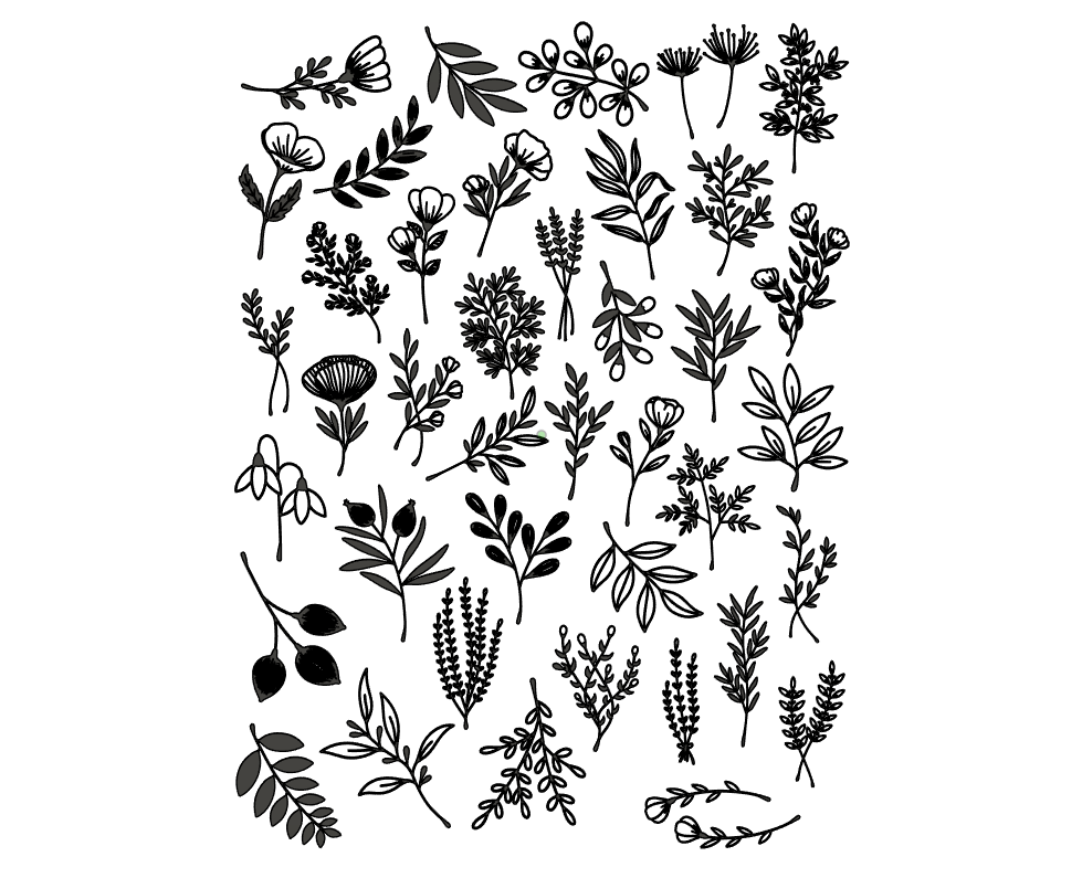 Twigs & Leaves