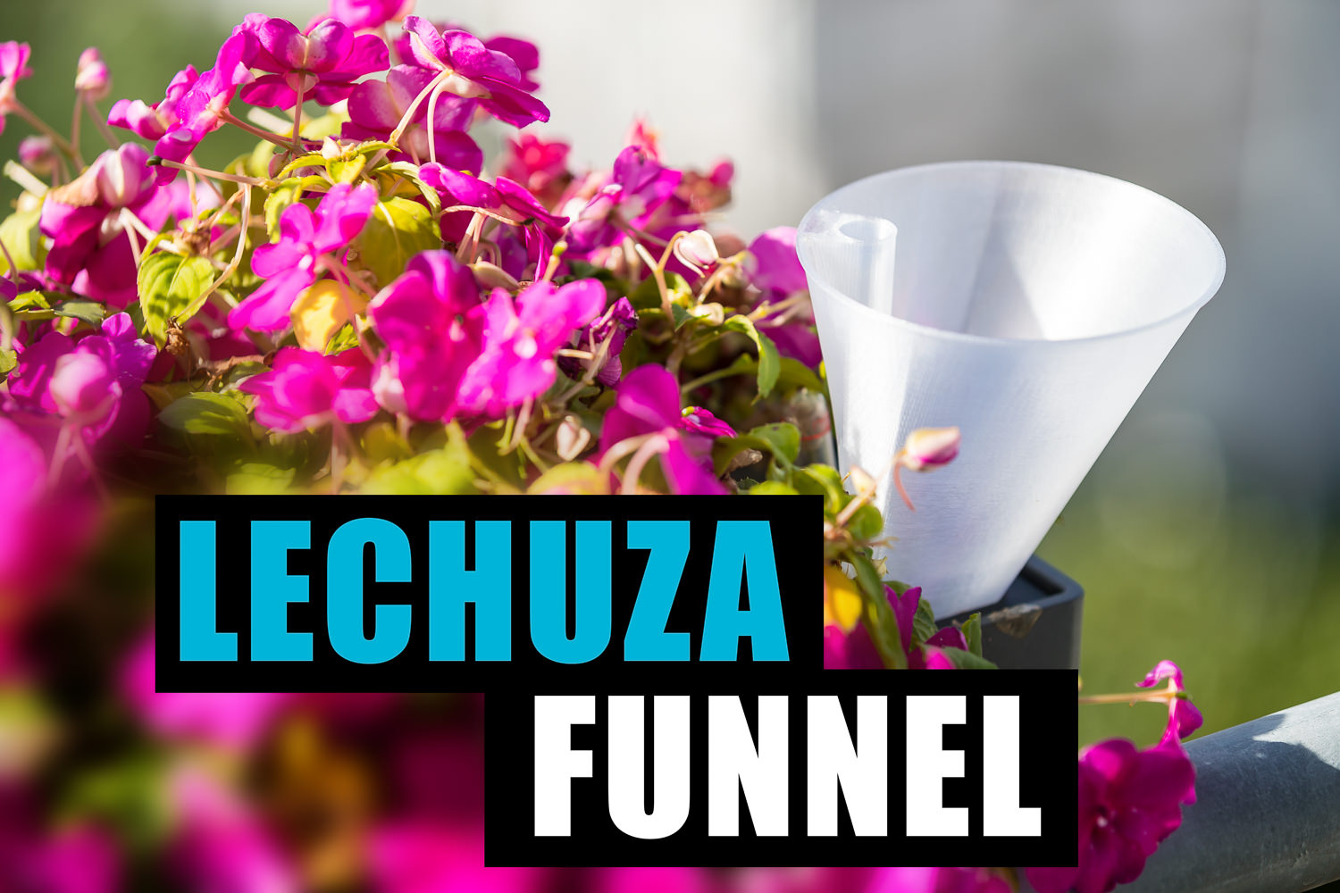 Lechuza Funnel / Trichter
