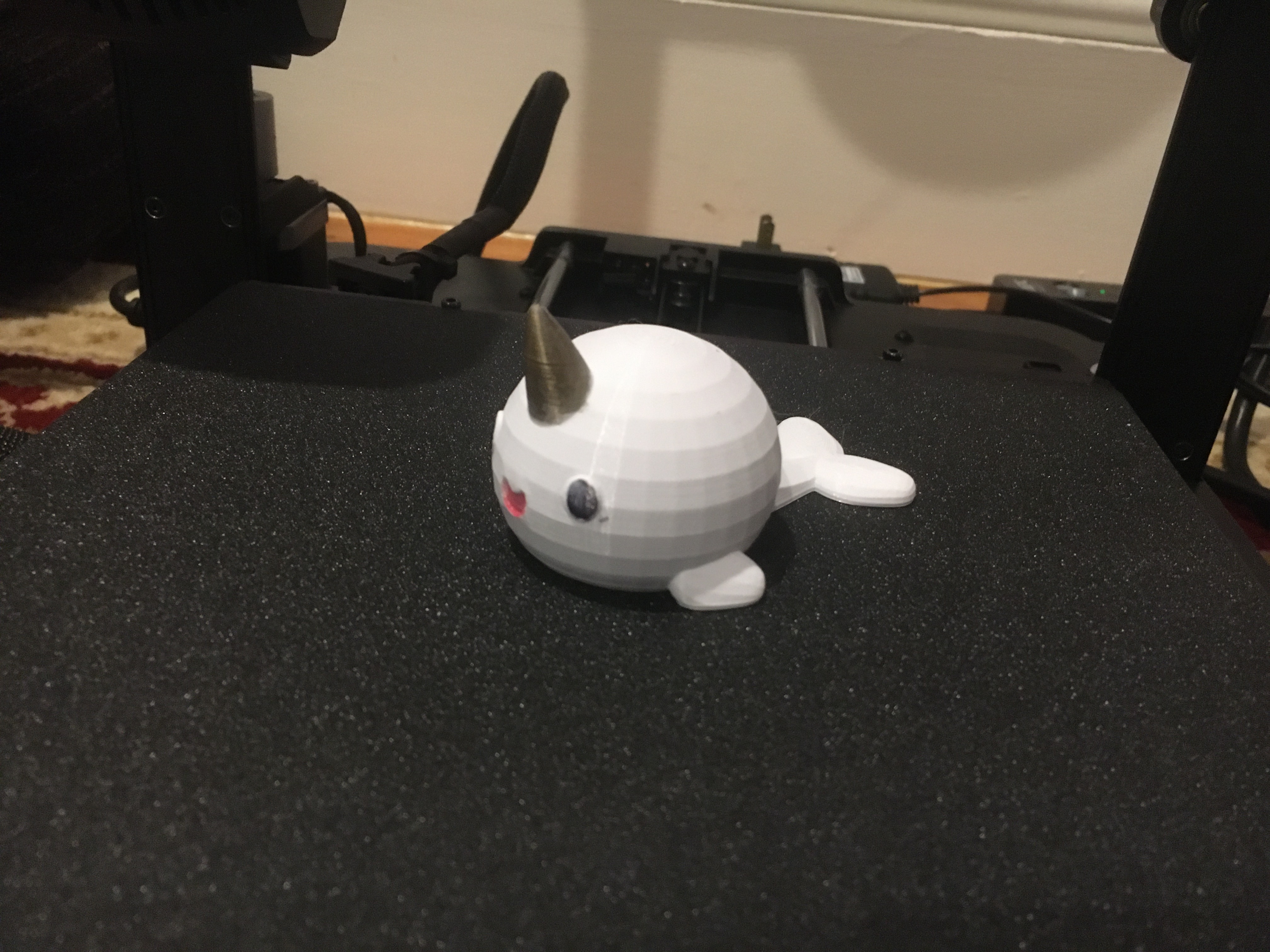 Cute Narwhal
