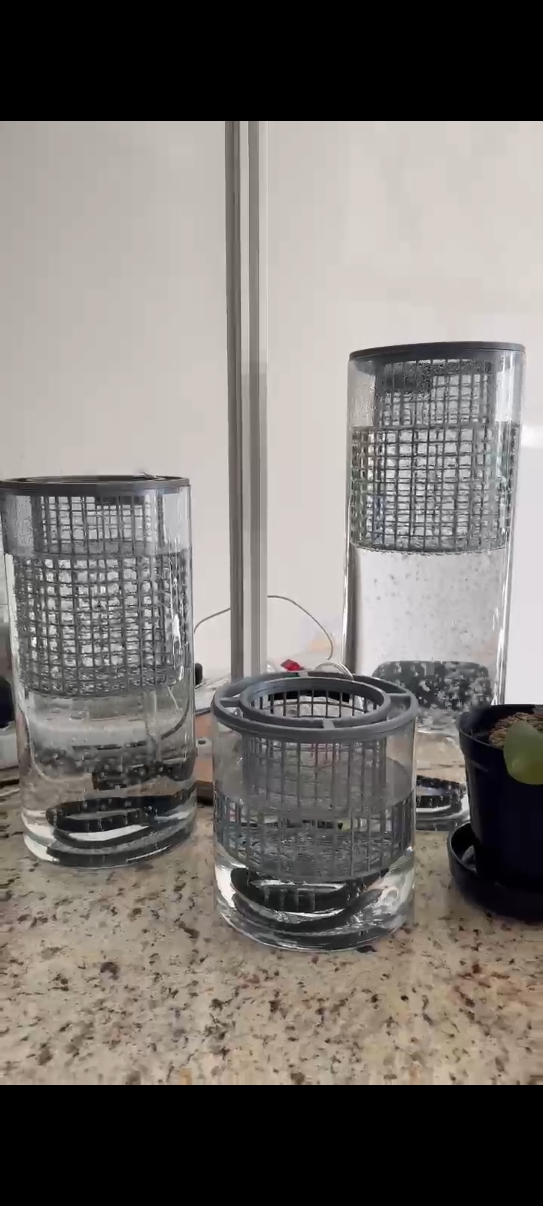 Hydro Plants Baskets for Vases