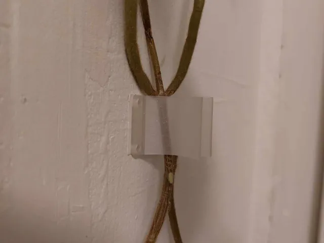 Plant Wall Clip