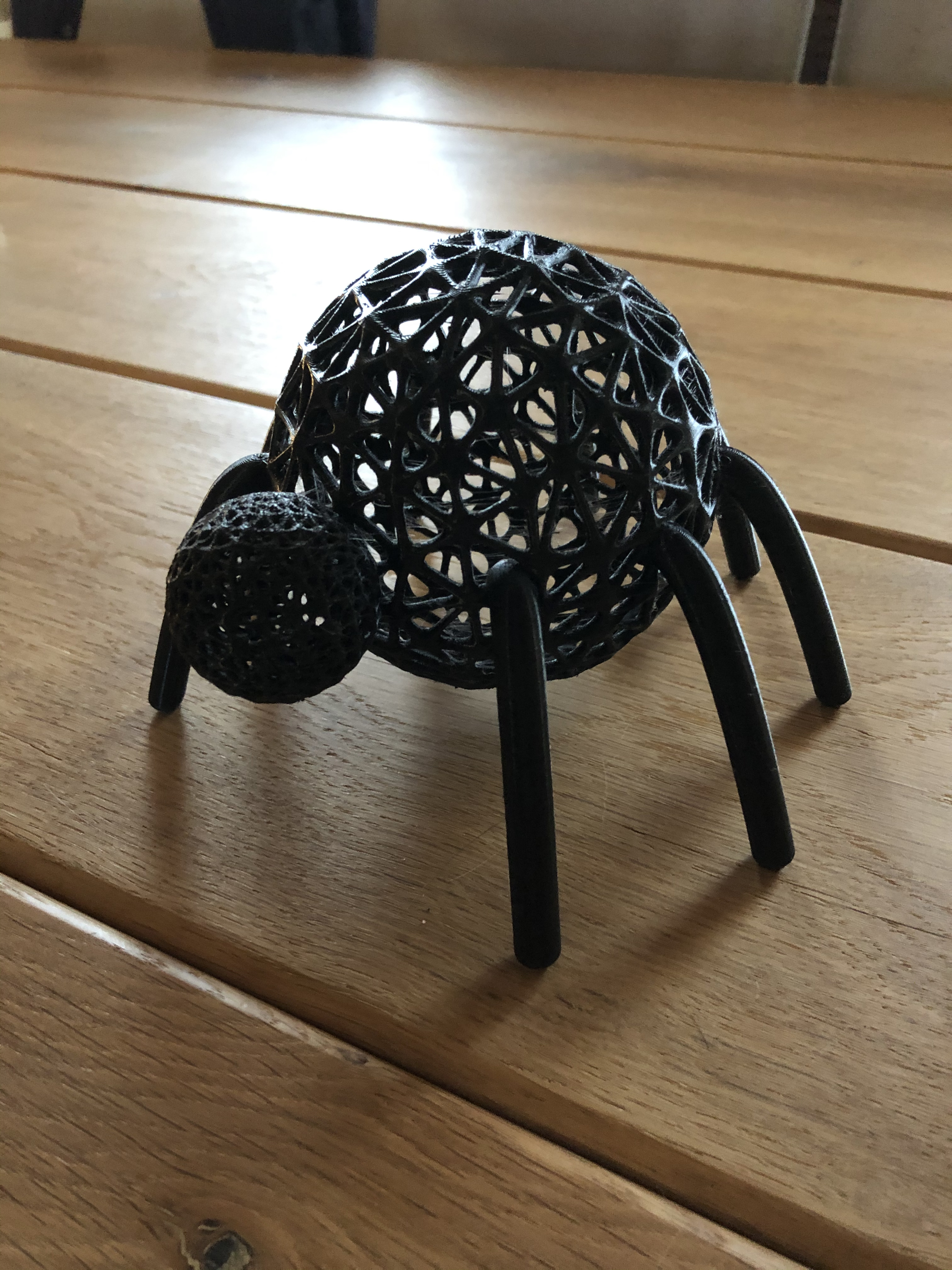 Spider for Halloween!