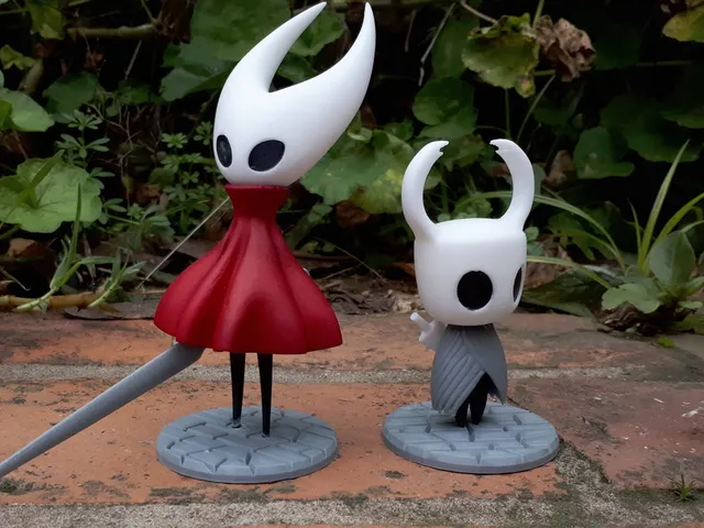 Hollow Knight & Hornet