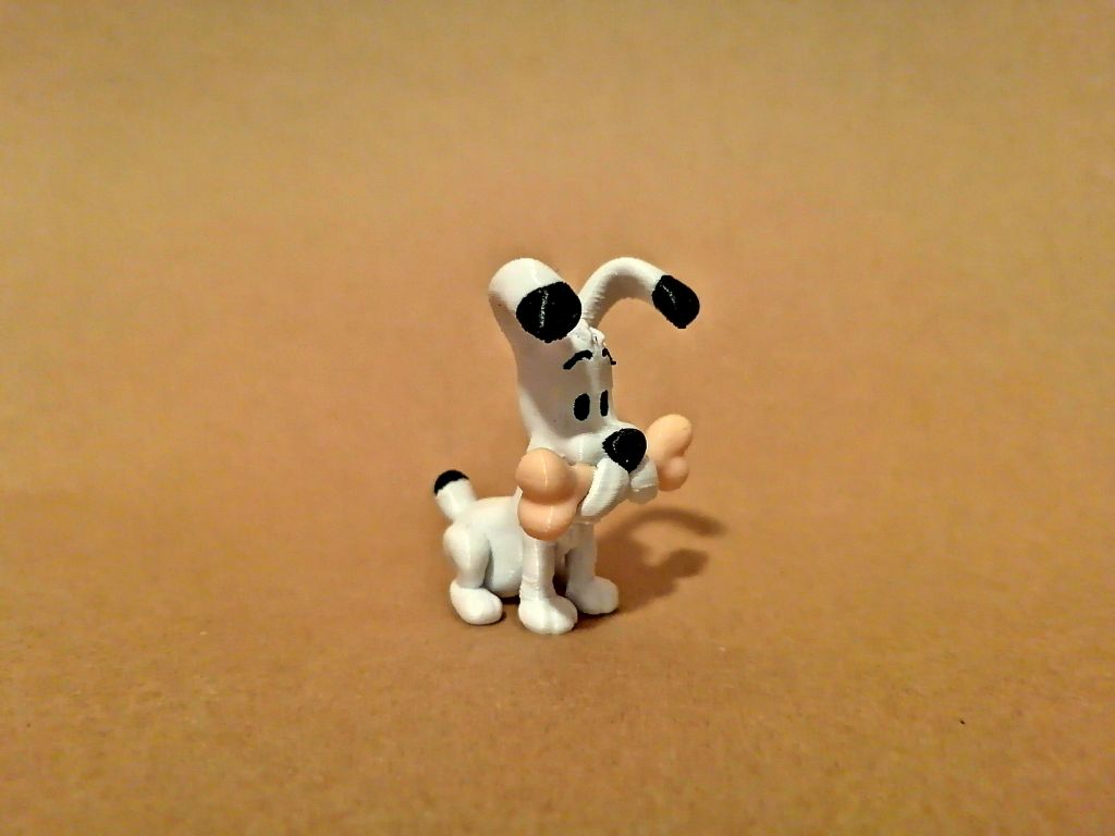 Idefix Multicolor