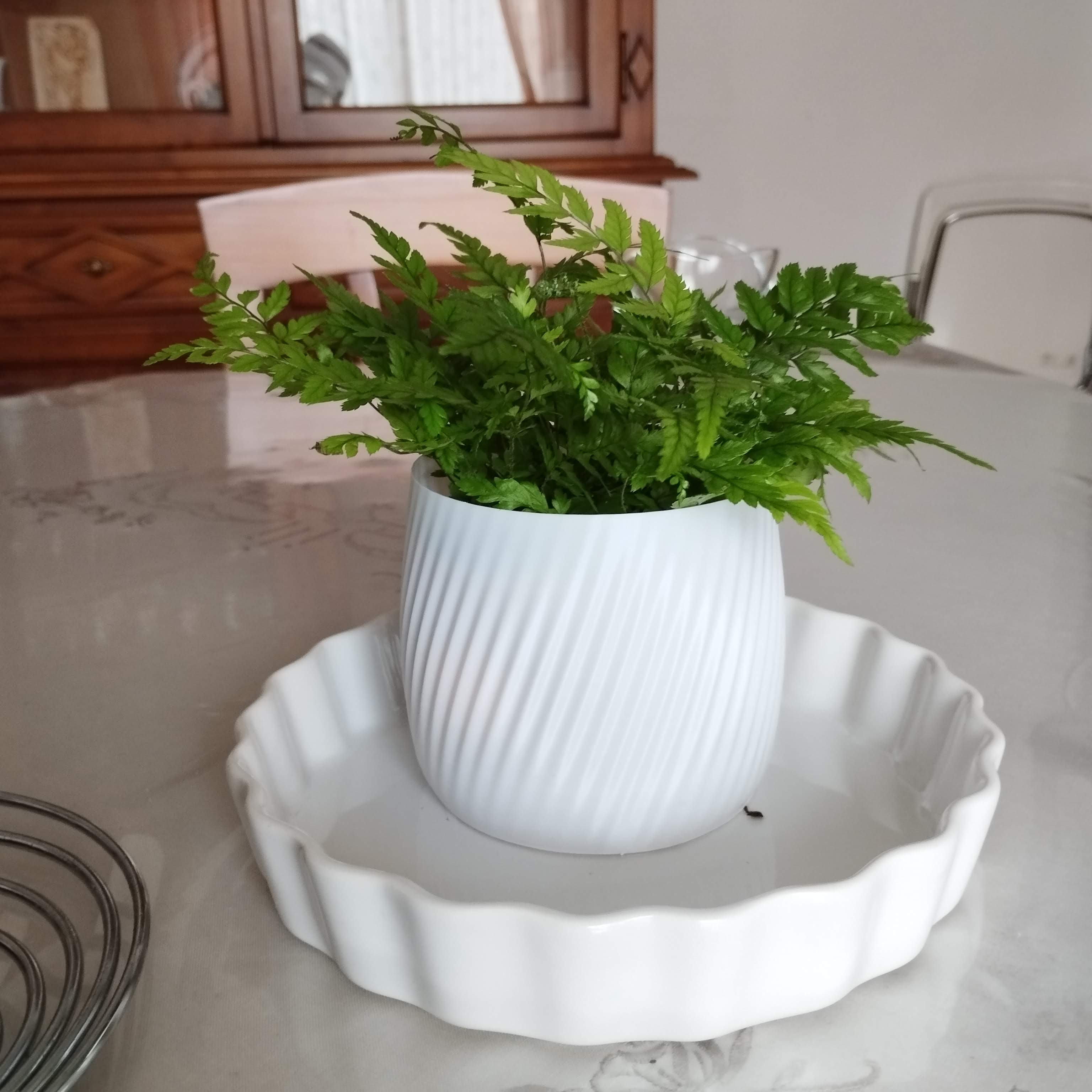 Vases-Pencil Holders (vasemode-spiralize)