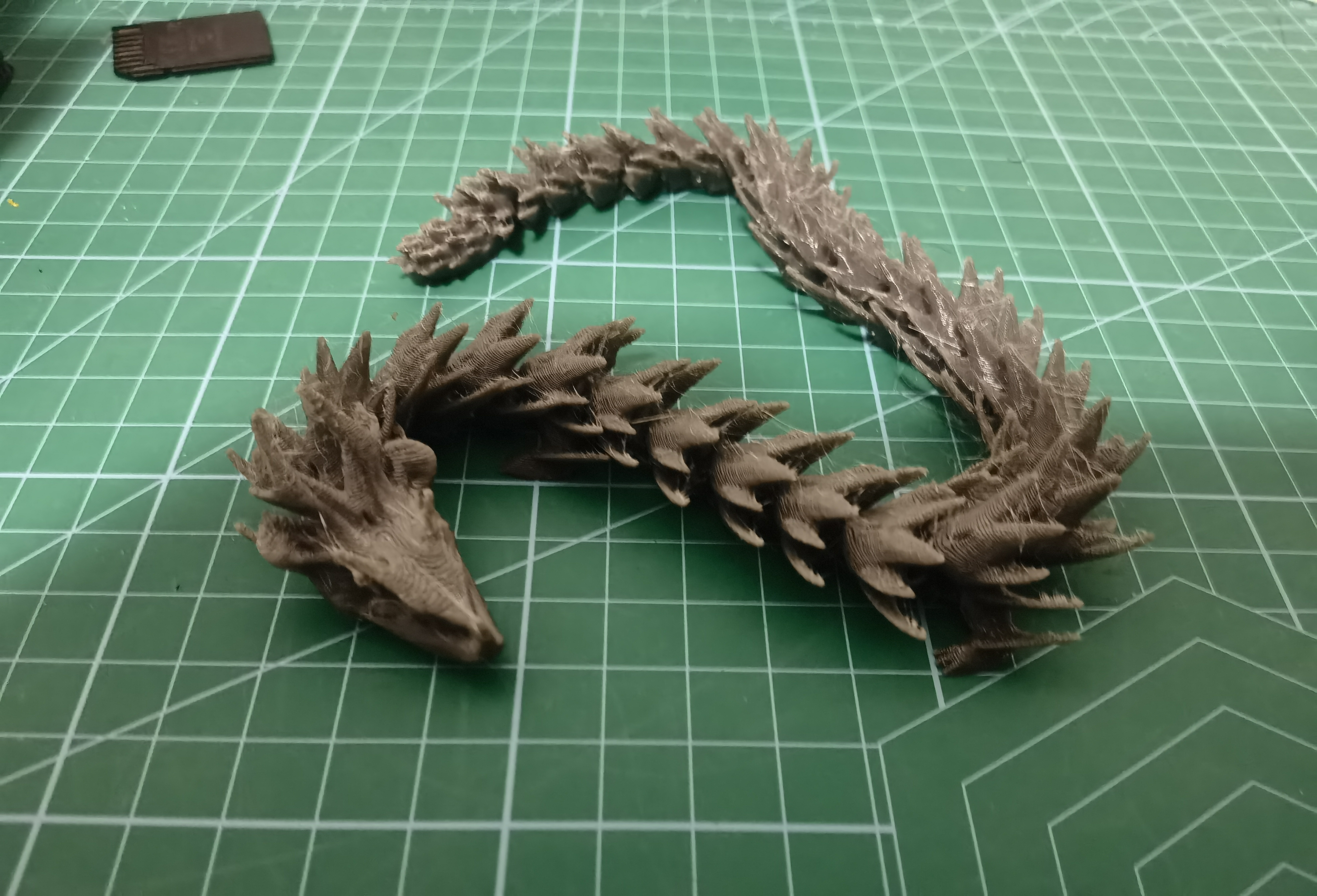 关节龙