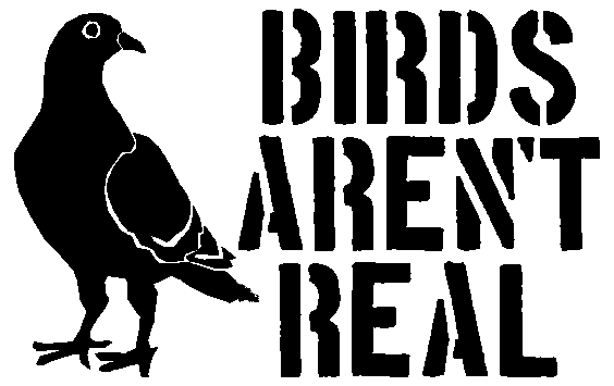 Birds Aren't Real Stencil