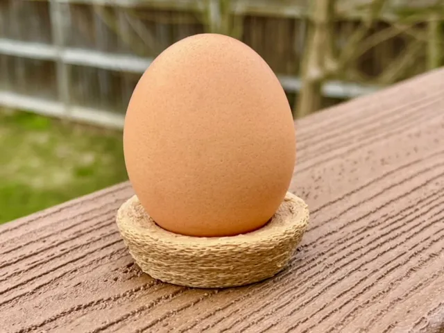 Fuzzy Skin Nest for Real Egg