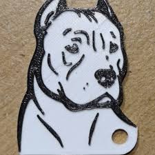 pittbull